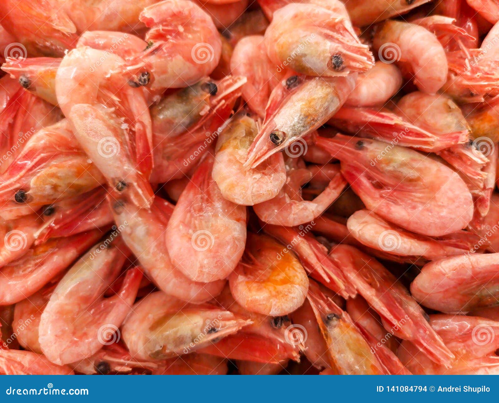 Frozen Shrimp on the Market Shelf Stock Photo Image of sale, shelf