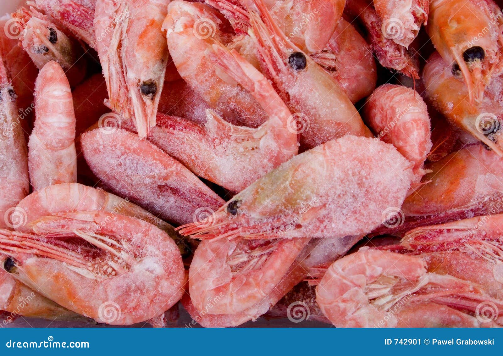 frozen shrimps