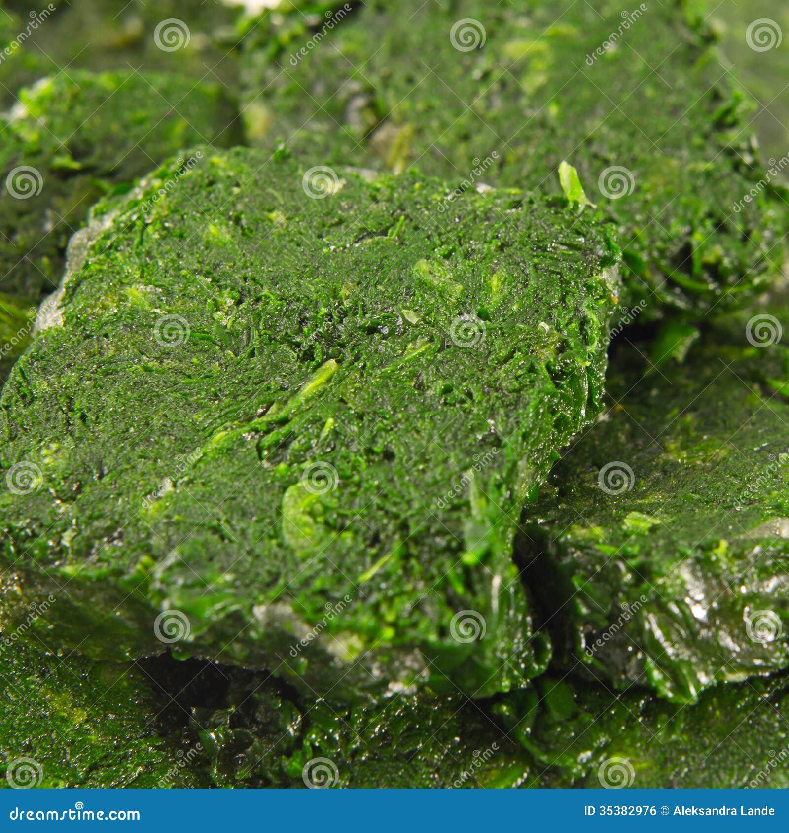 Frozen spinach stock photo. Image of diet, freshness - 35382976