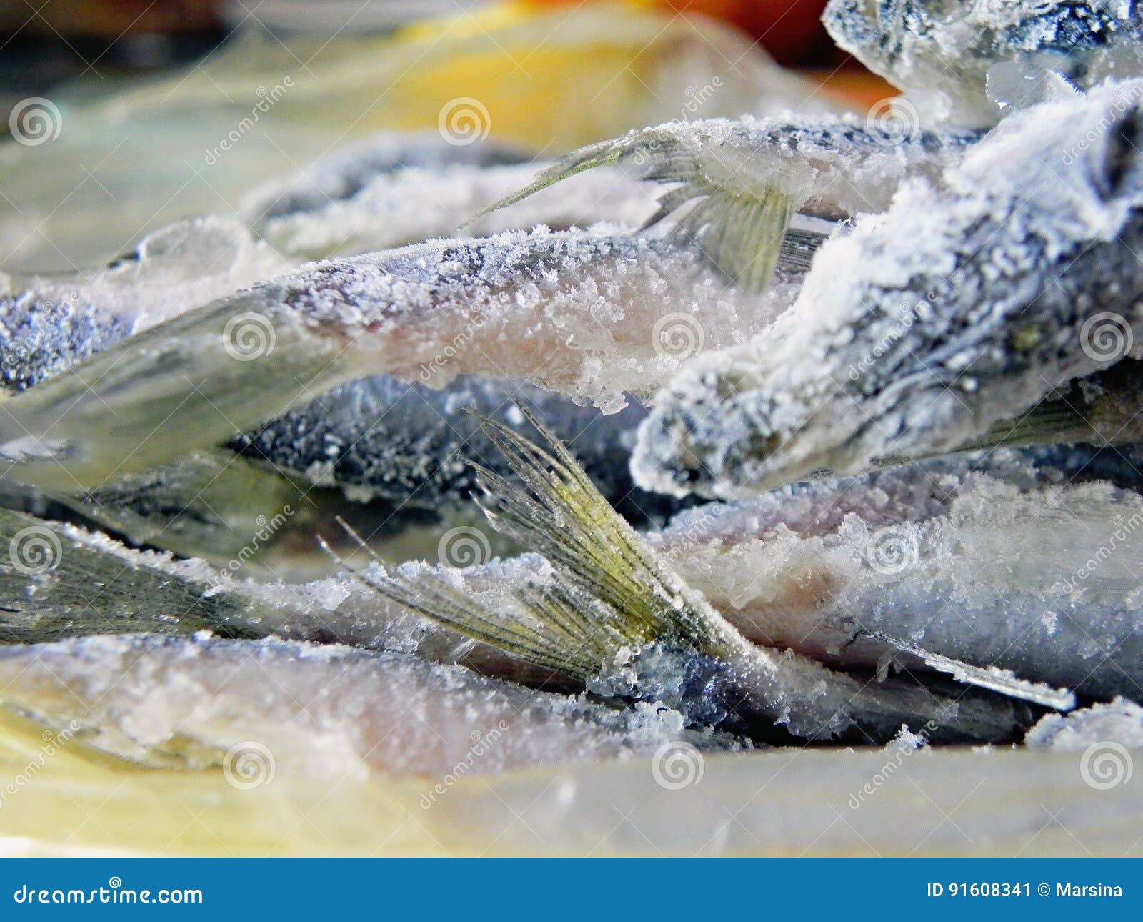 Frozen sprat stock image. Image of abdomen, dinner, beanfeast 91608341