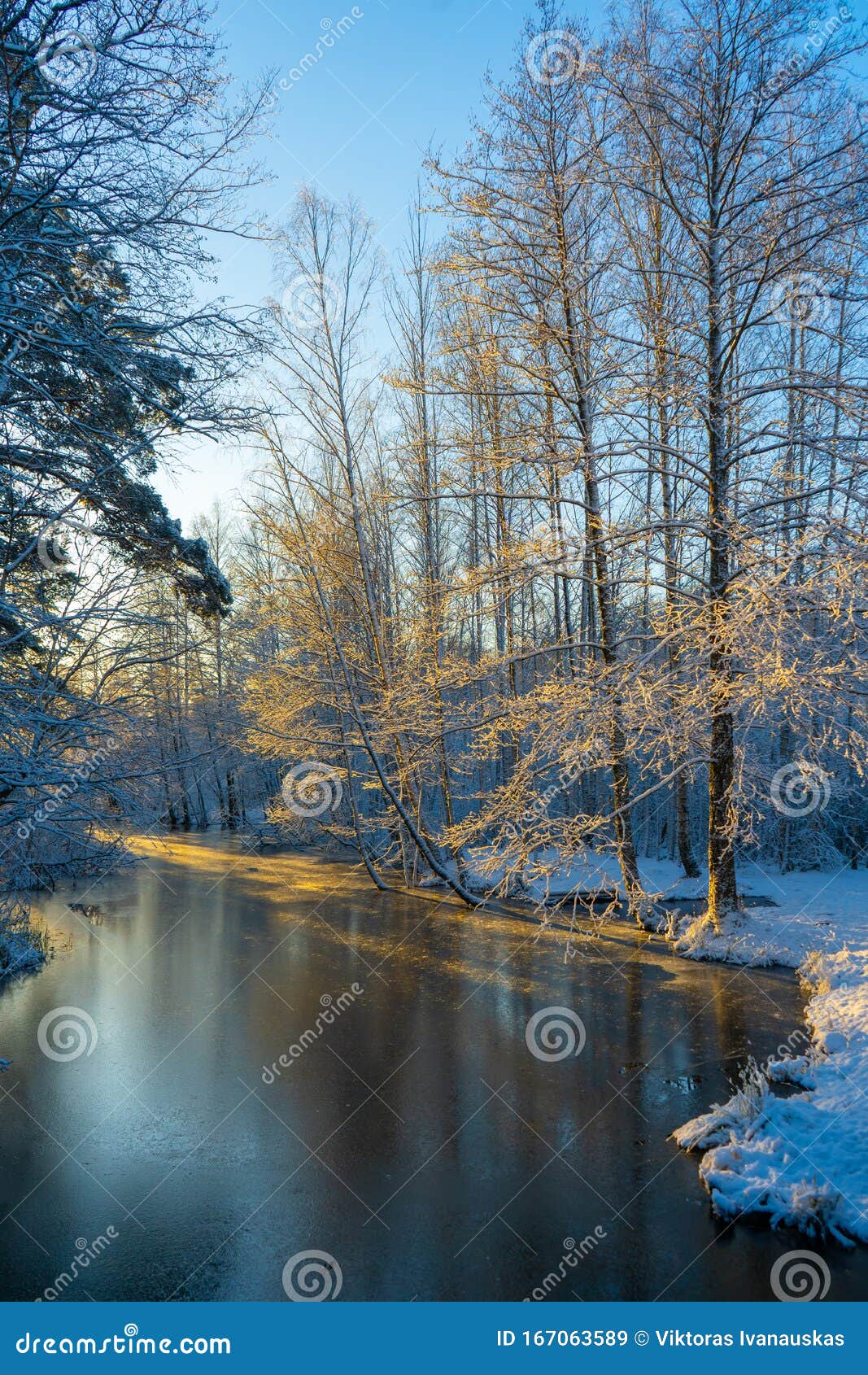 Frozen Canal and Trees with Snow. Winter in Scandinavia. Swedish Wallpaper. Nature Stock Image - Image of covered, river: 167063589