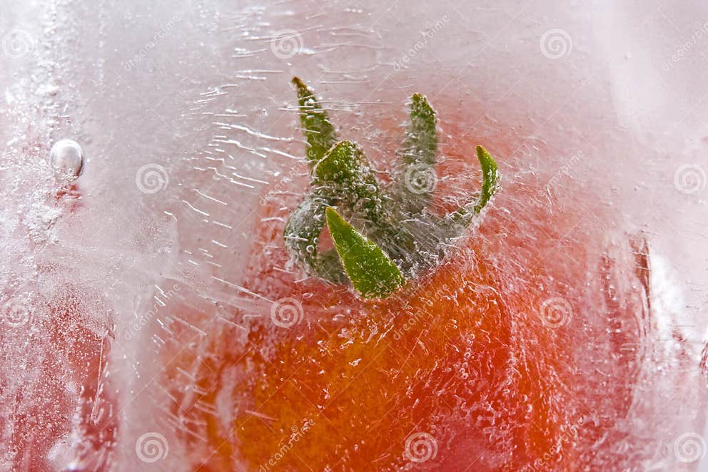 Frozen tomato stock photo. Image of tomato, green, preserved 6004304