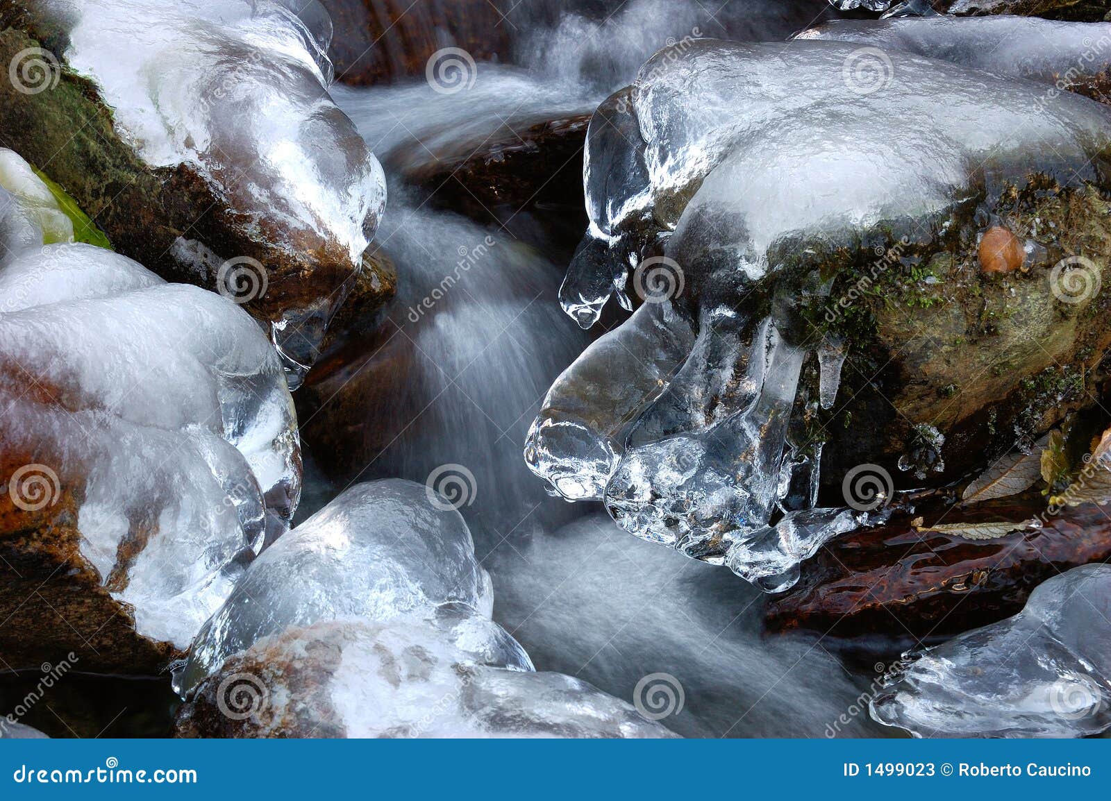 frozen torrent (3/3)