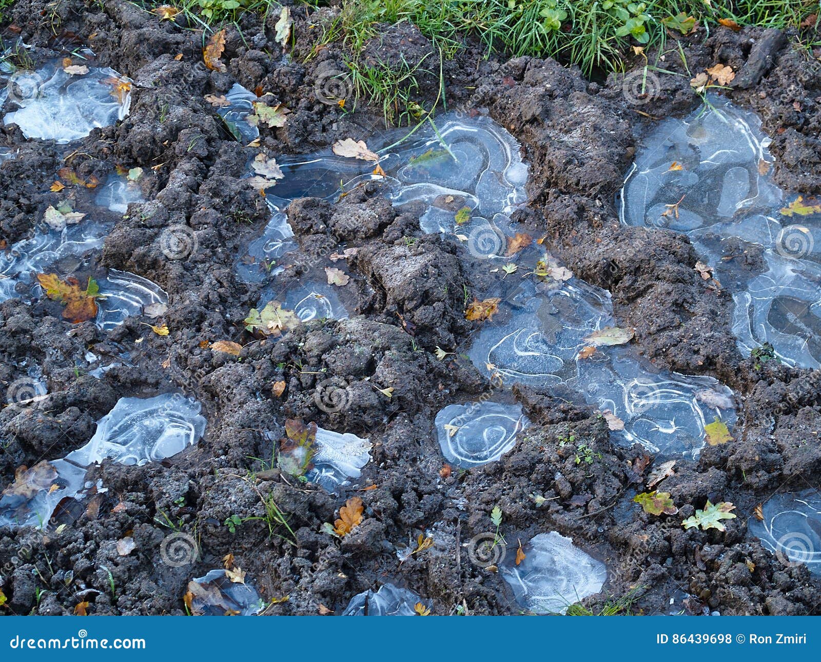 Frozen Water Puddle in Winter Soil Ground Stock Photo Image of snow