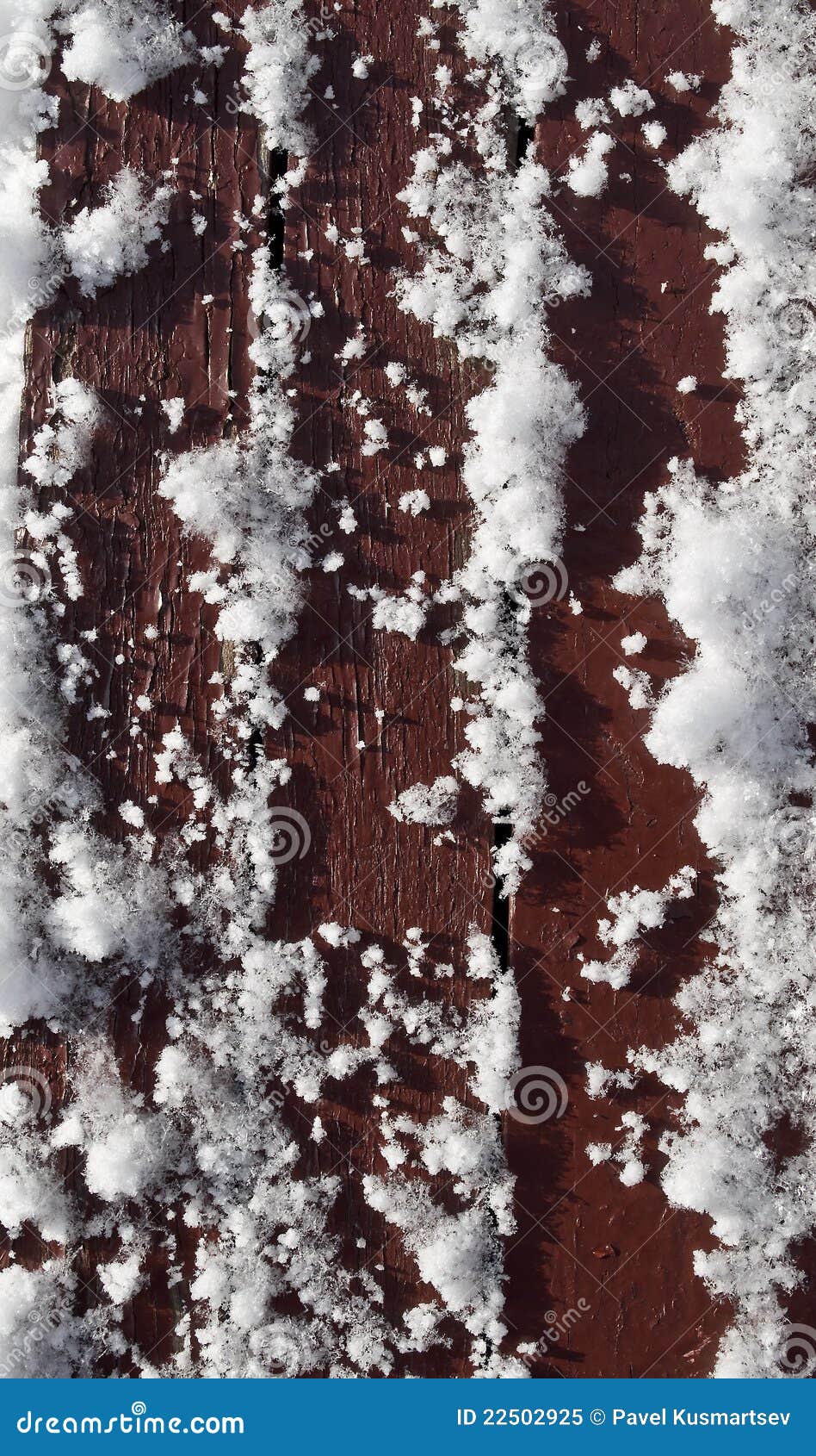 Frozen wood stock image. Image of freeze, rime, backdrop 22502925