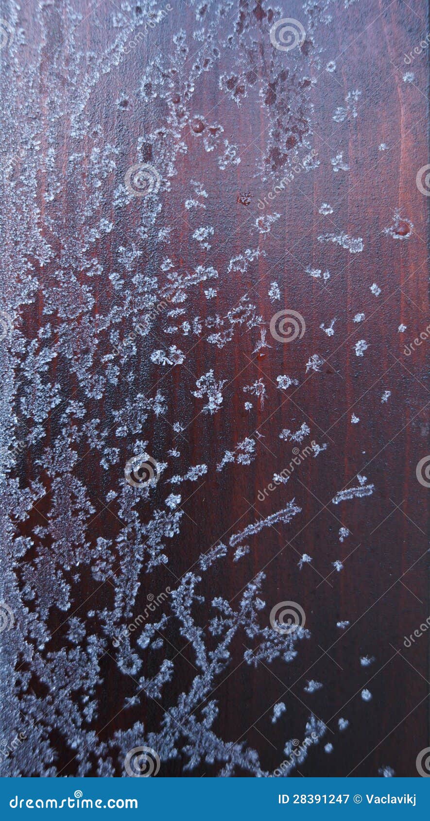 Frozen wood stock image. Image of morning, weather, white 28391247