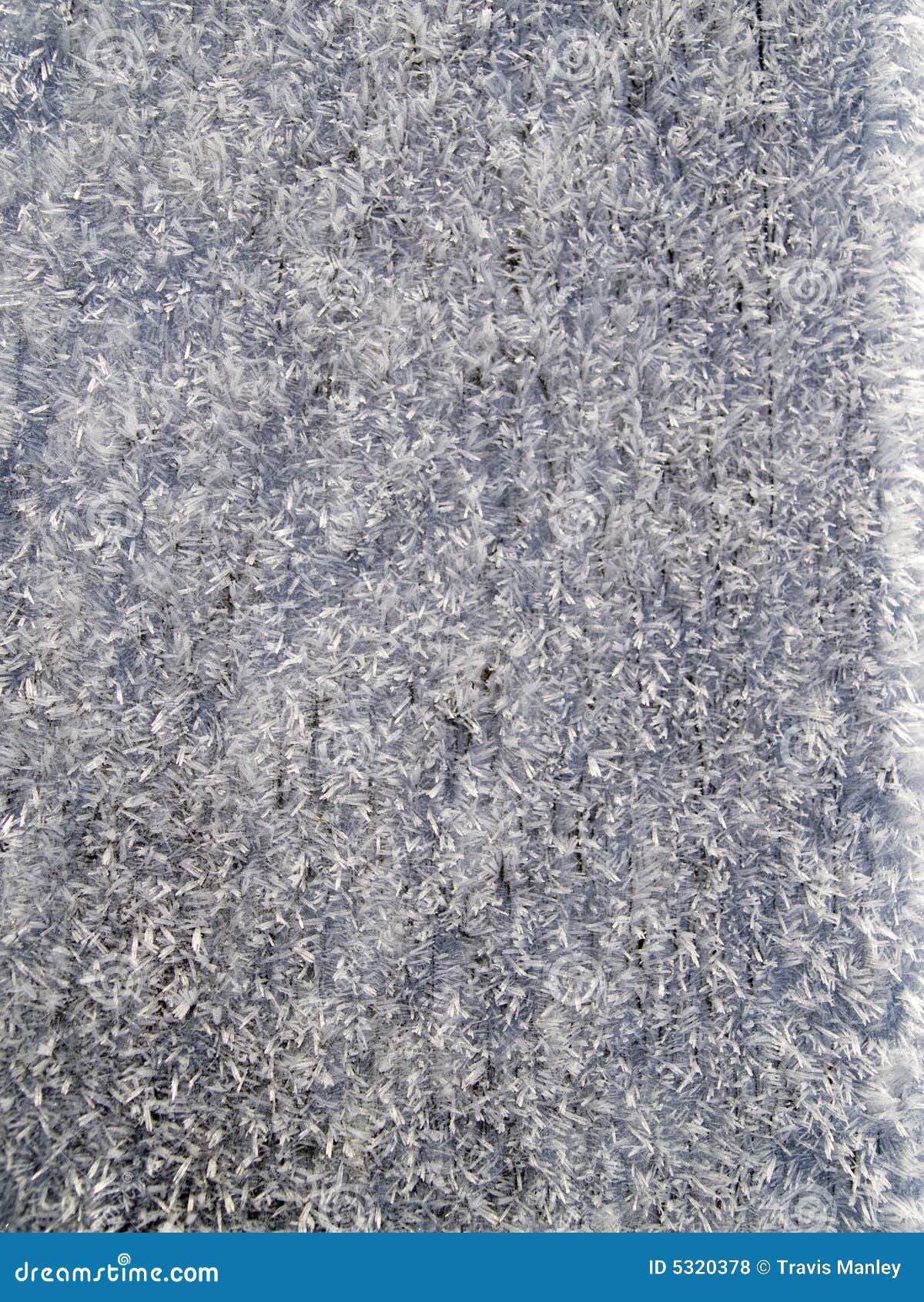 Frozen Wood stock photo. Image of railing, aged, privacy 5320378