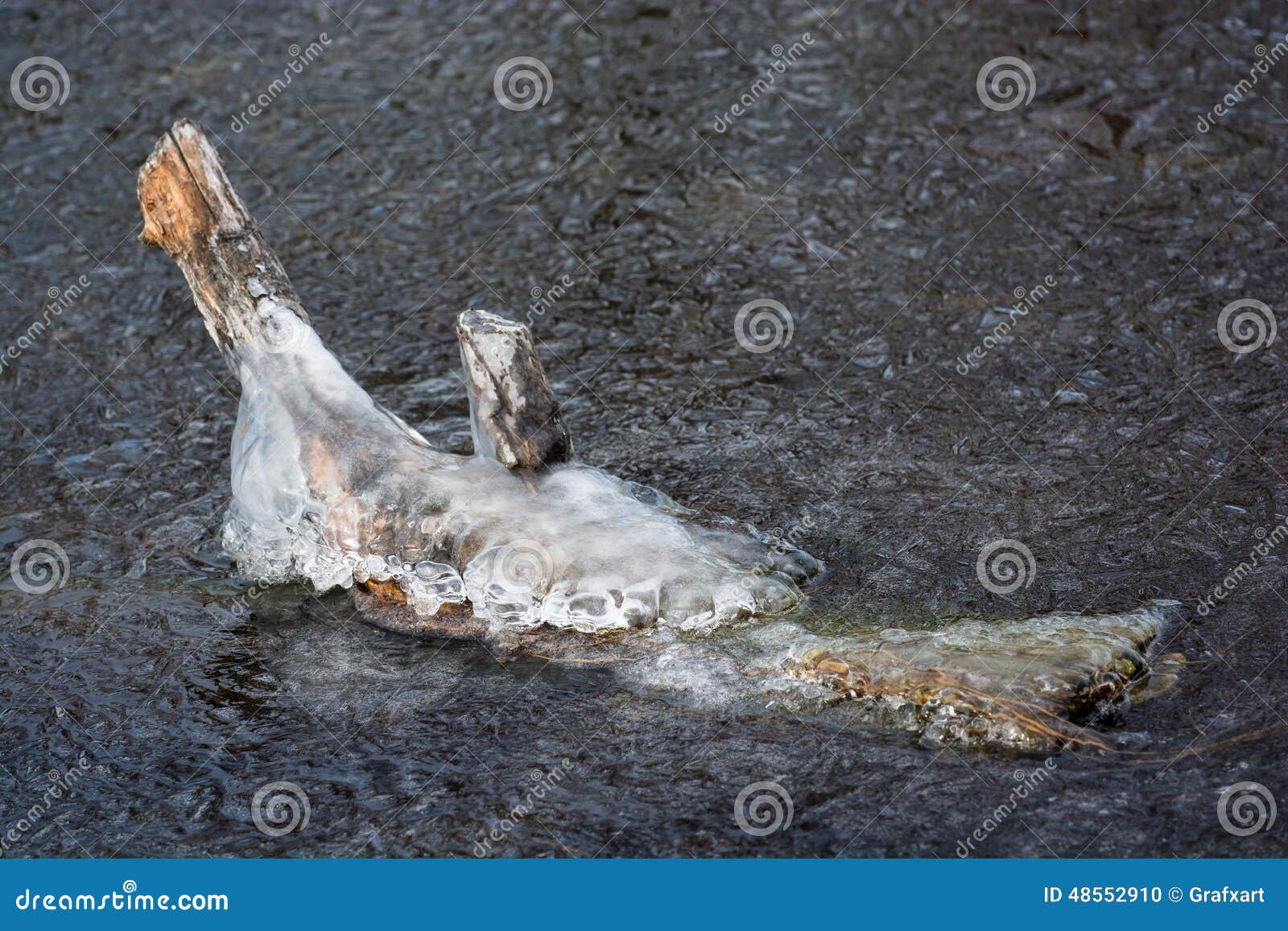Frozen Wood in Lake stock photo. Image of water, wood 48552910