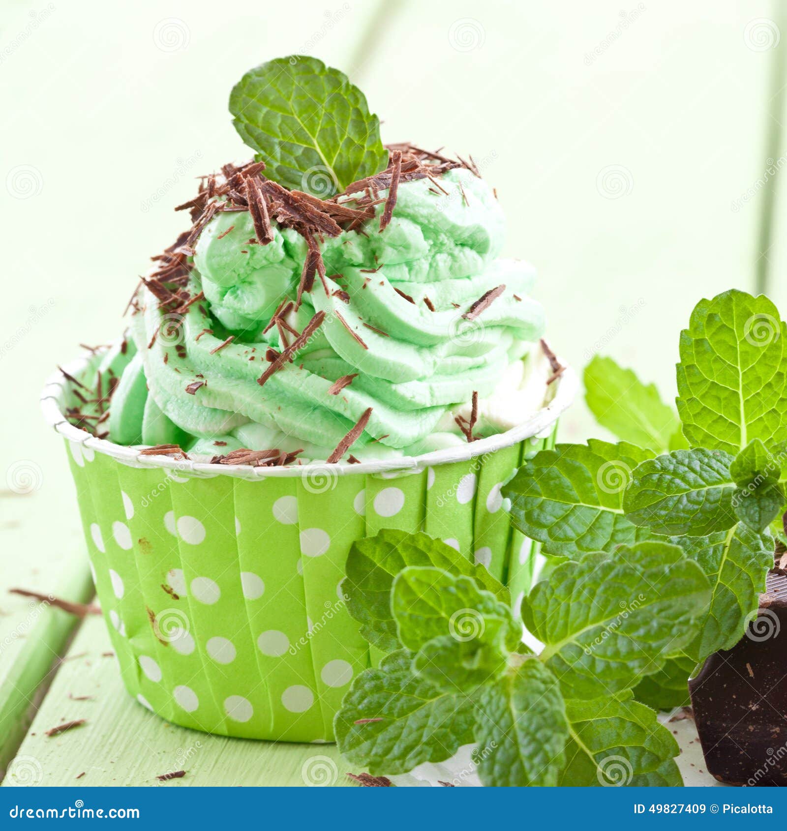 Frozen Yogurt with mint stock image. Image of dessert 49827409