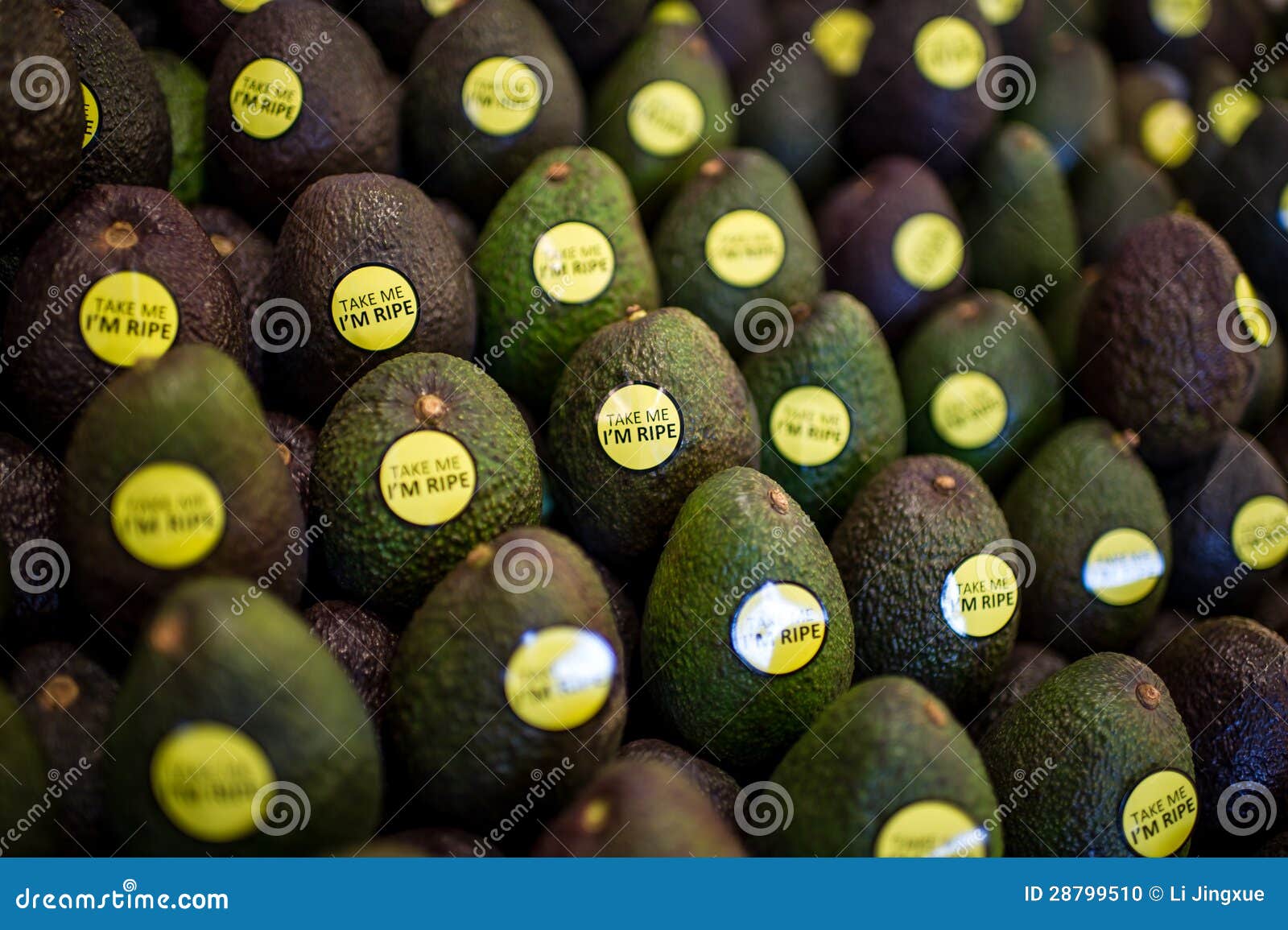 fruit avocado
