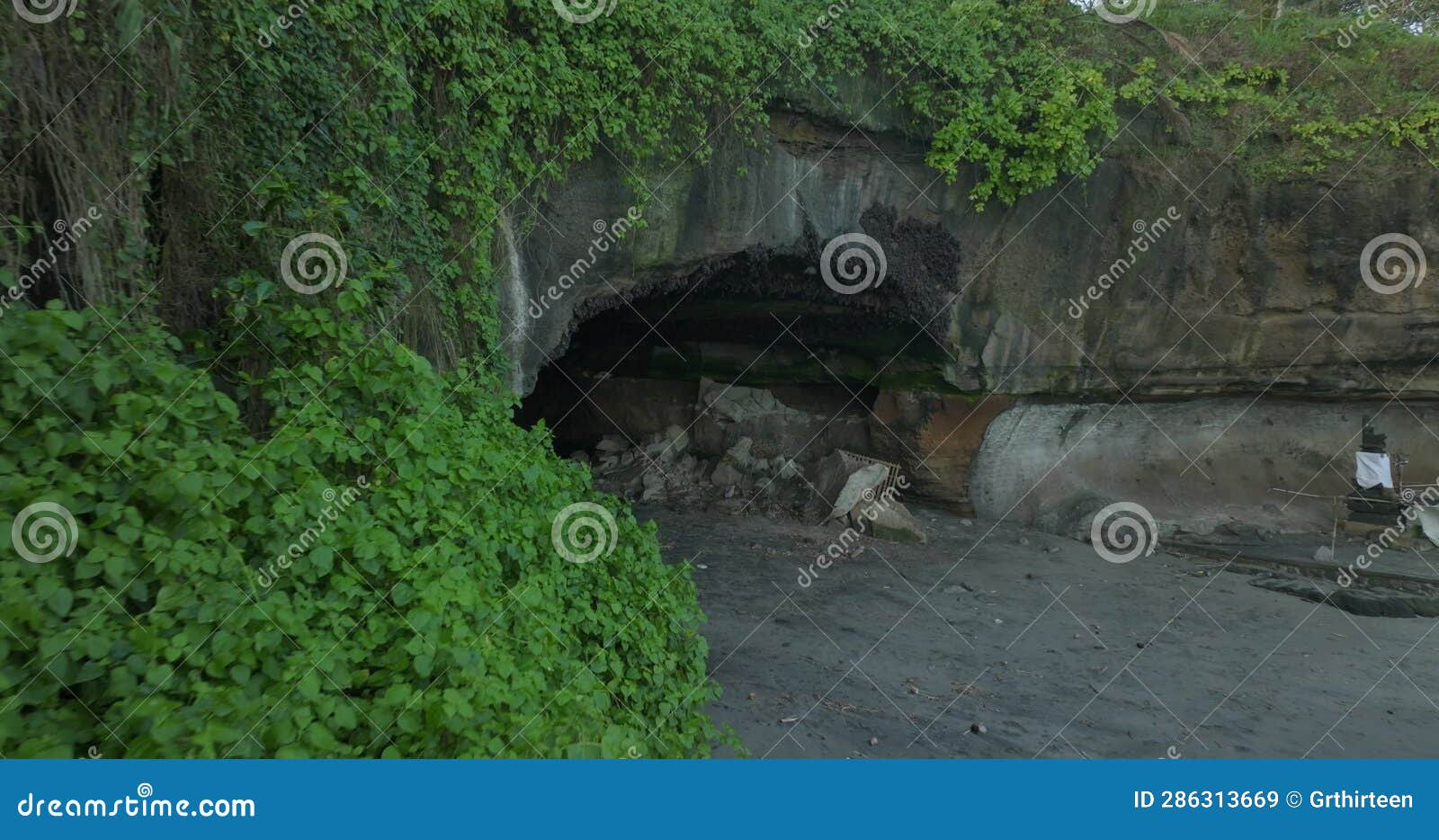 Fruit Bat Cave with Ocean View in Bali Stock Video Video of flying