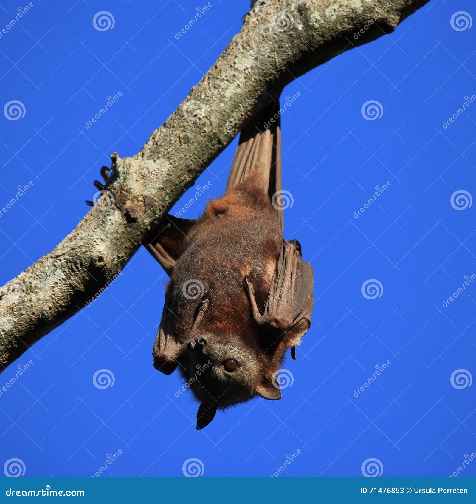My Image 24