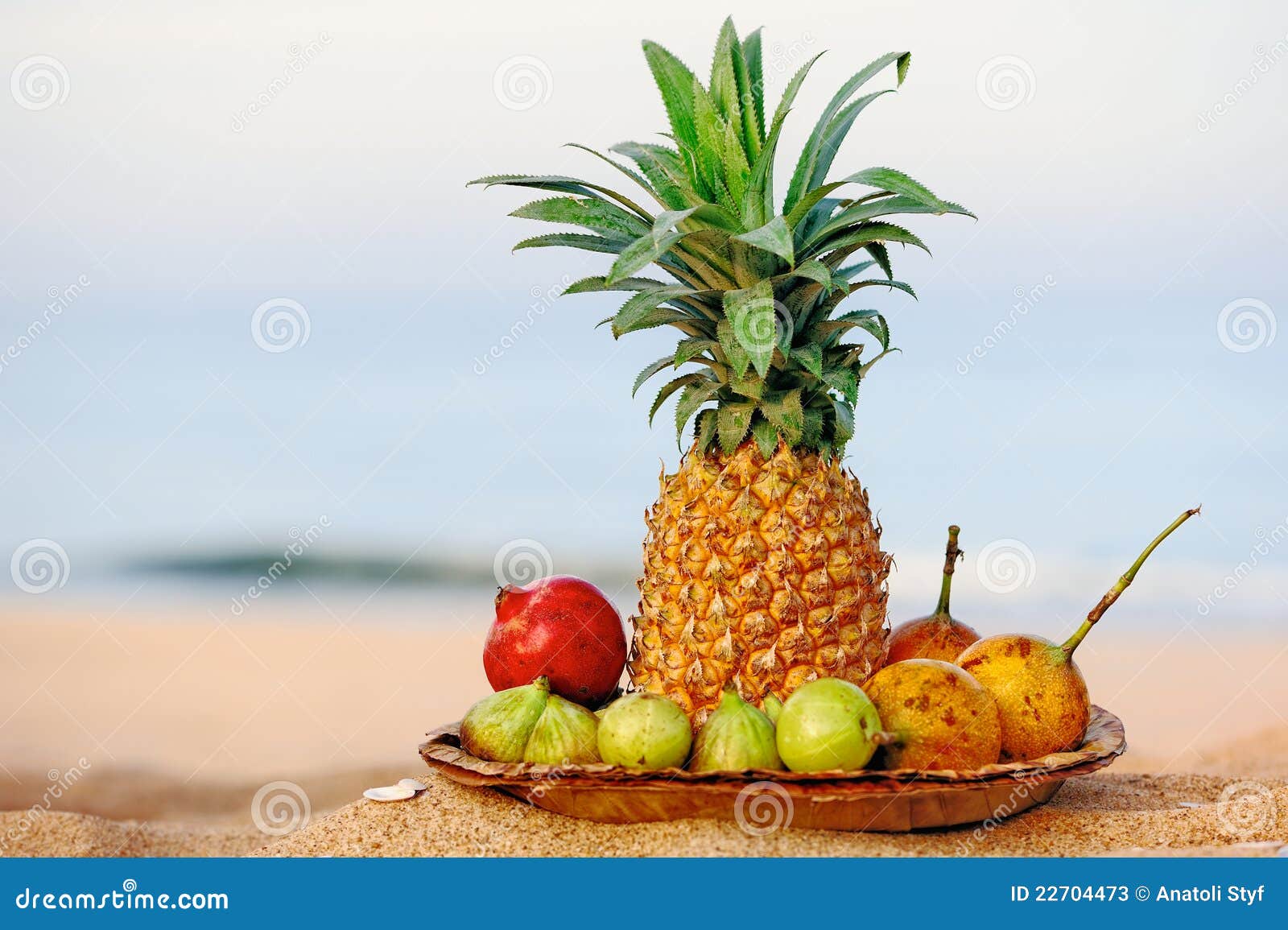 Fruit on the beach stock image. Image of fruit, holiday 22704473