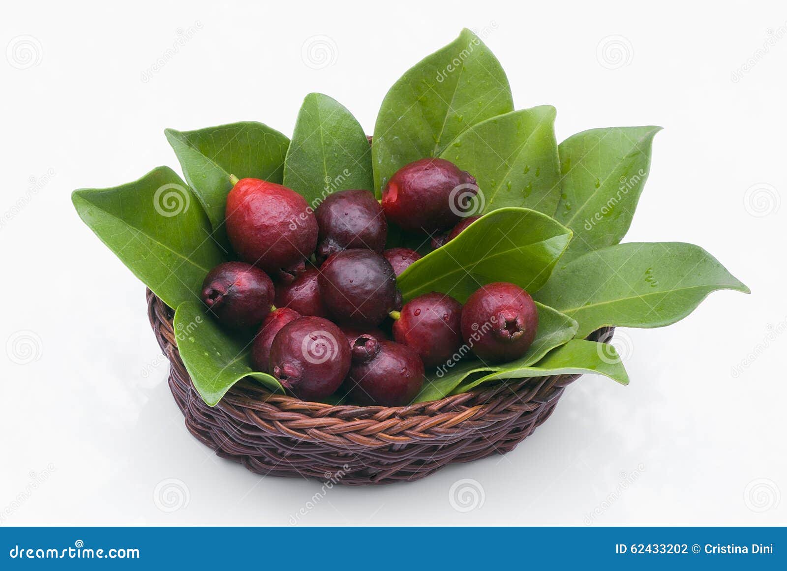 fruit of cattley guava or peruvian guava (psidium littorale susp. longipes).