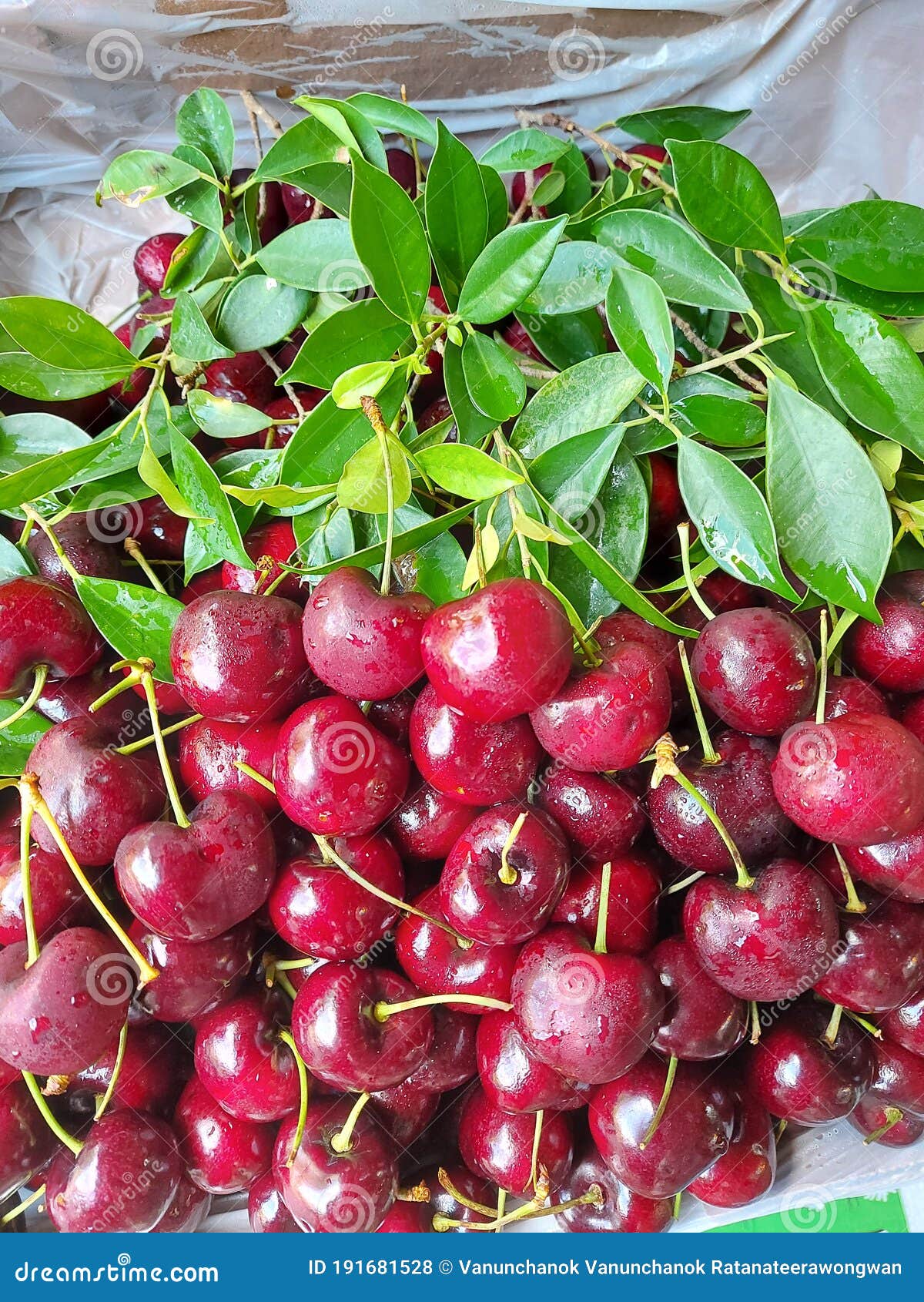 Fruit Cherries Contain a Lot of Vitamin C. Stock Photo Image of food, blossom 191681528