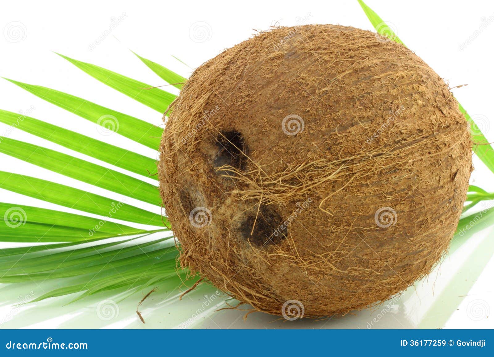 Fruit coconut with leaves stock image. Image of cooking 36177259