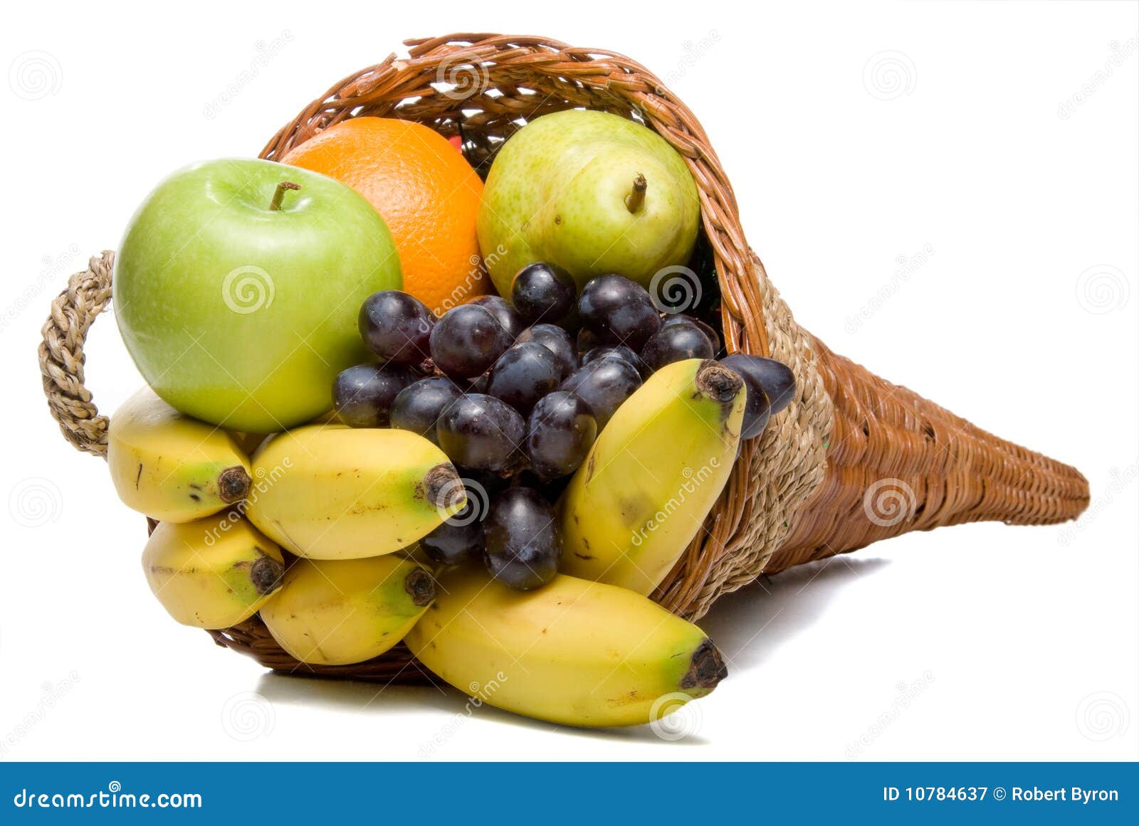 Fruit of the loom cornucopia infinitygross