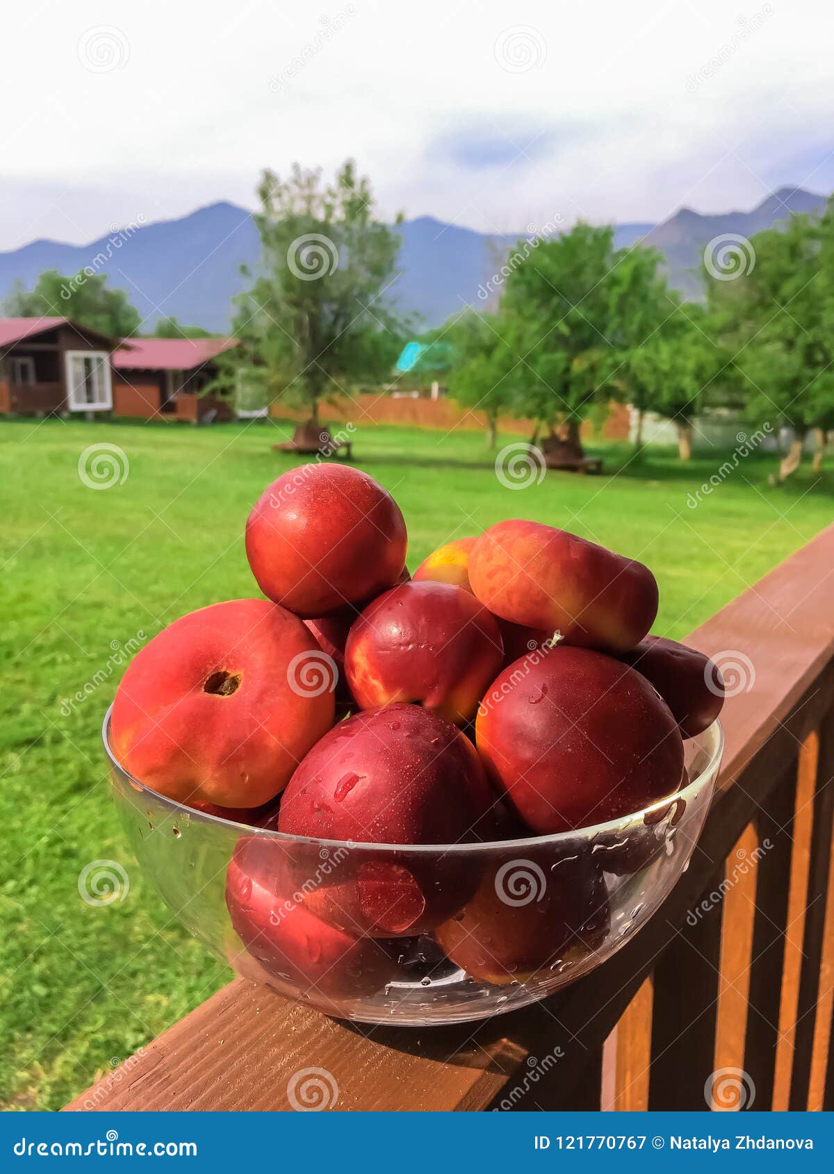 Fruit peaches stock image. Image of drop, health, background 121770767