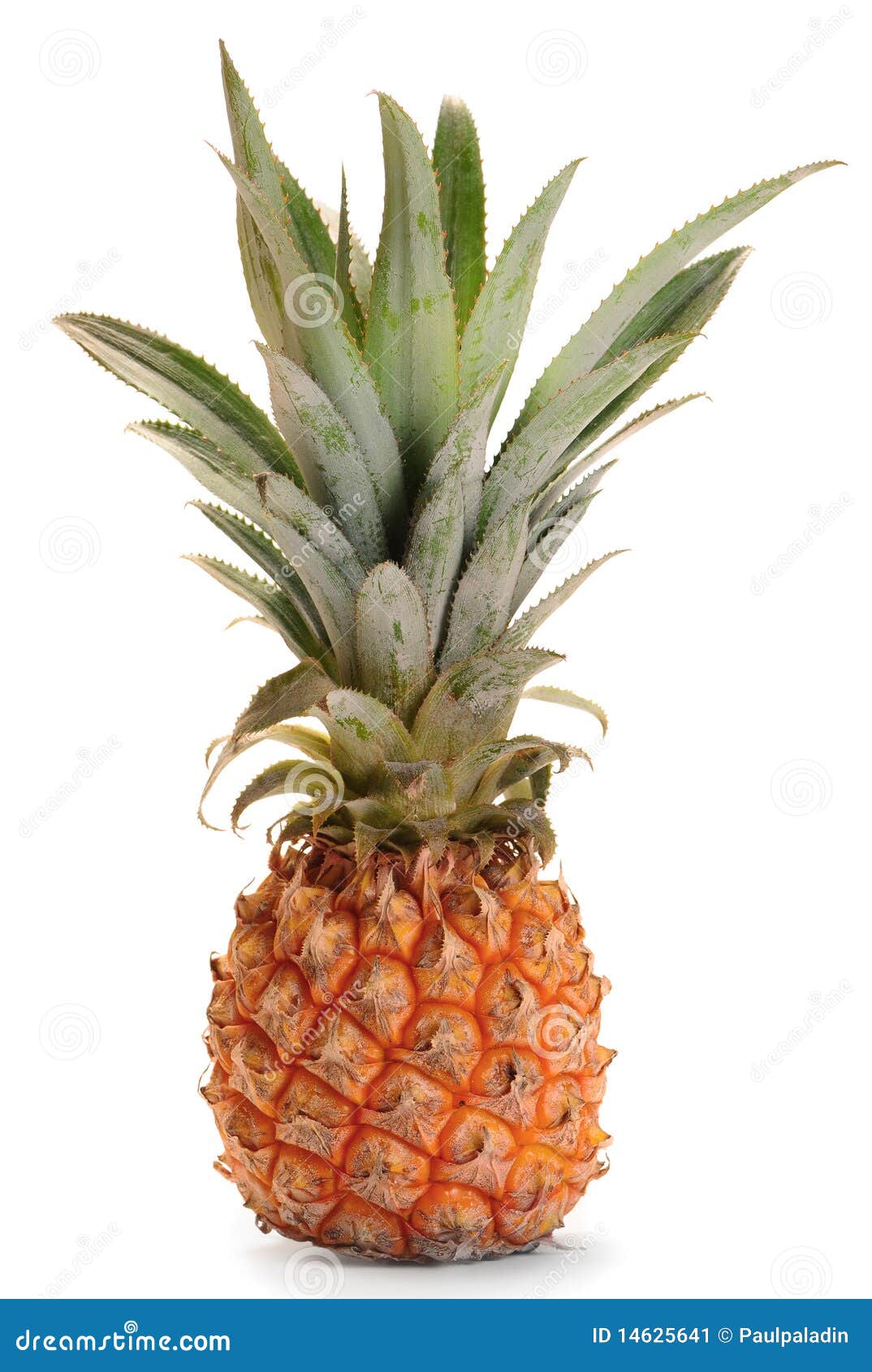 Fruit D Ananas D Ananas Image Stock Image Du Texture