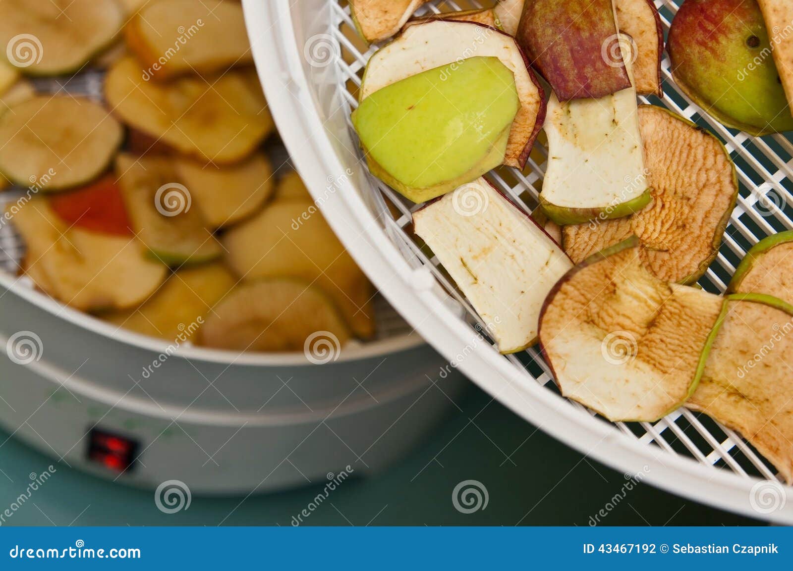 Fruit Dryer with Apple Pieces Stock Photo Image of fruit, apples