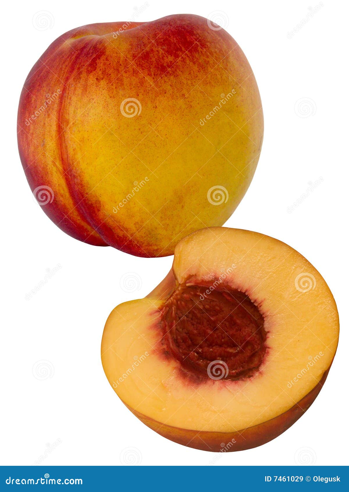 Fruit Fresh a Peach and Apricot Hybrid Stock Image Image of apricot