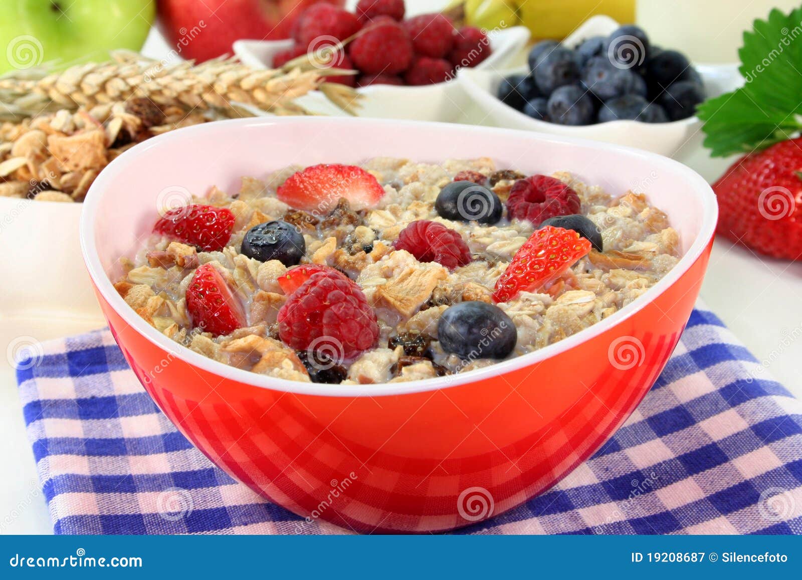 Fruit Muesli stock image. Image of morning, food, cereal 19208687