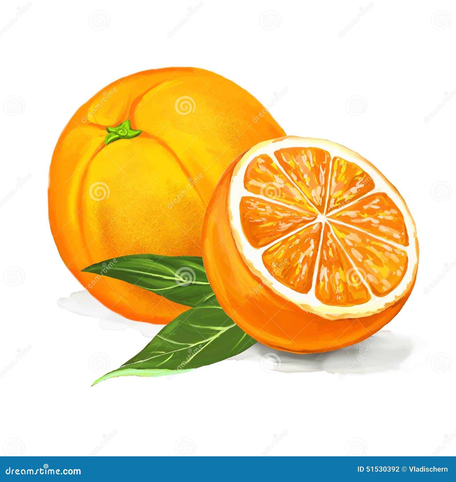 Fruit Orange Vector Illustration Hand Drawn Stock Vector Illustration