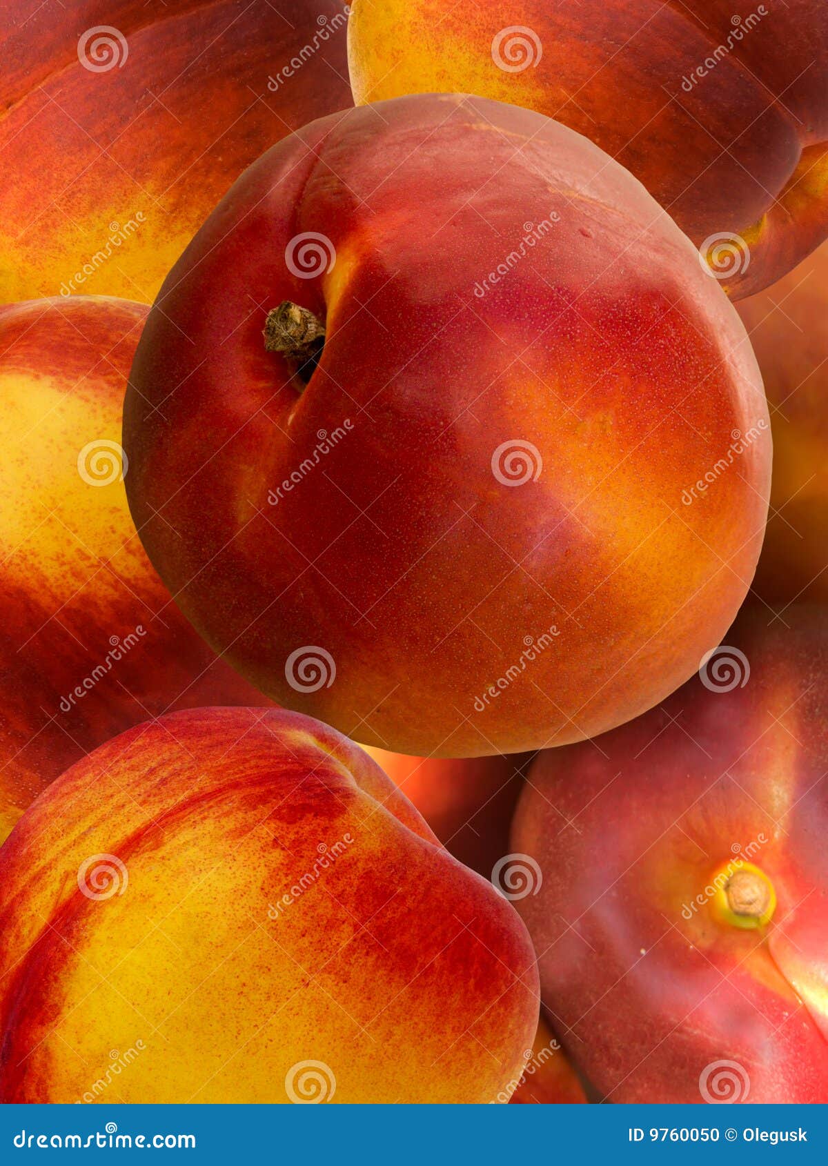 Fruit A Peach And Apricot Hybrid Stock Photo Image 9760050