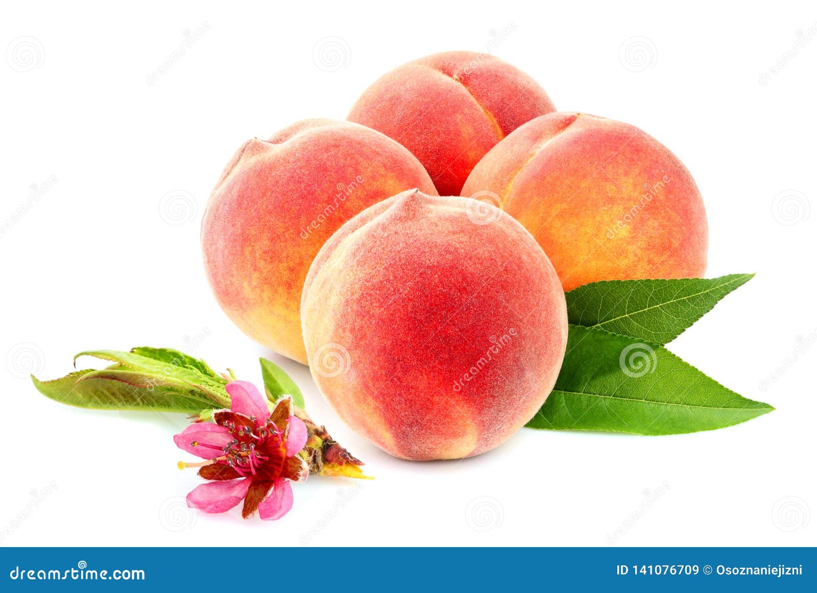 Fruit Peach With Flower, Isolated Stock Image Image of natural