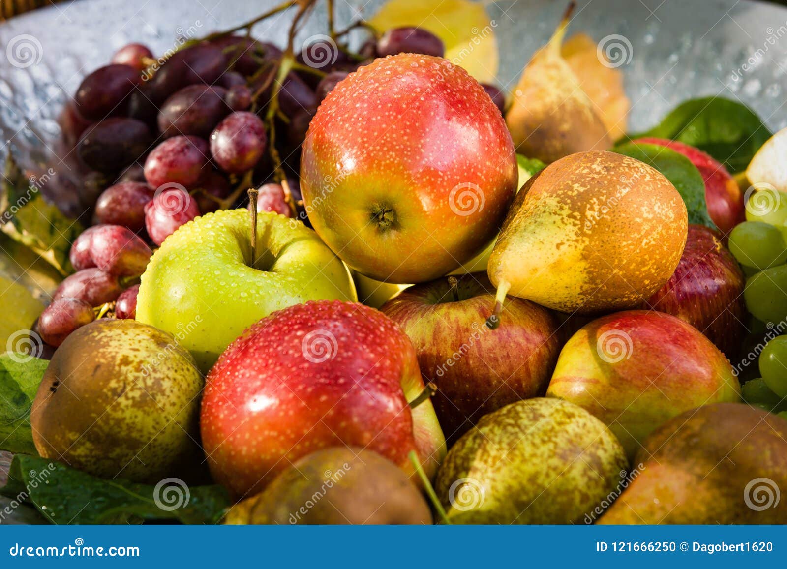 Fruit in a Bowl Apples, Pears and Grapes Stock Photo Image of farm