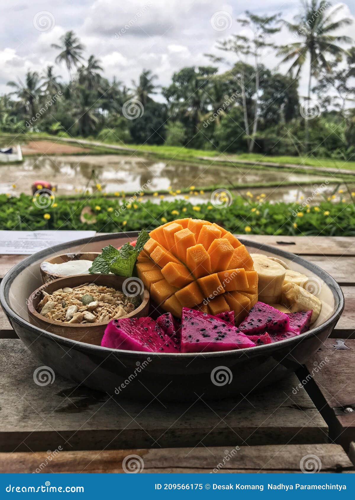Fruit Platter for Breakfast Stock Image Image of platter, cuisine