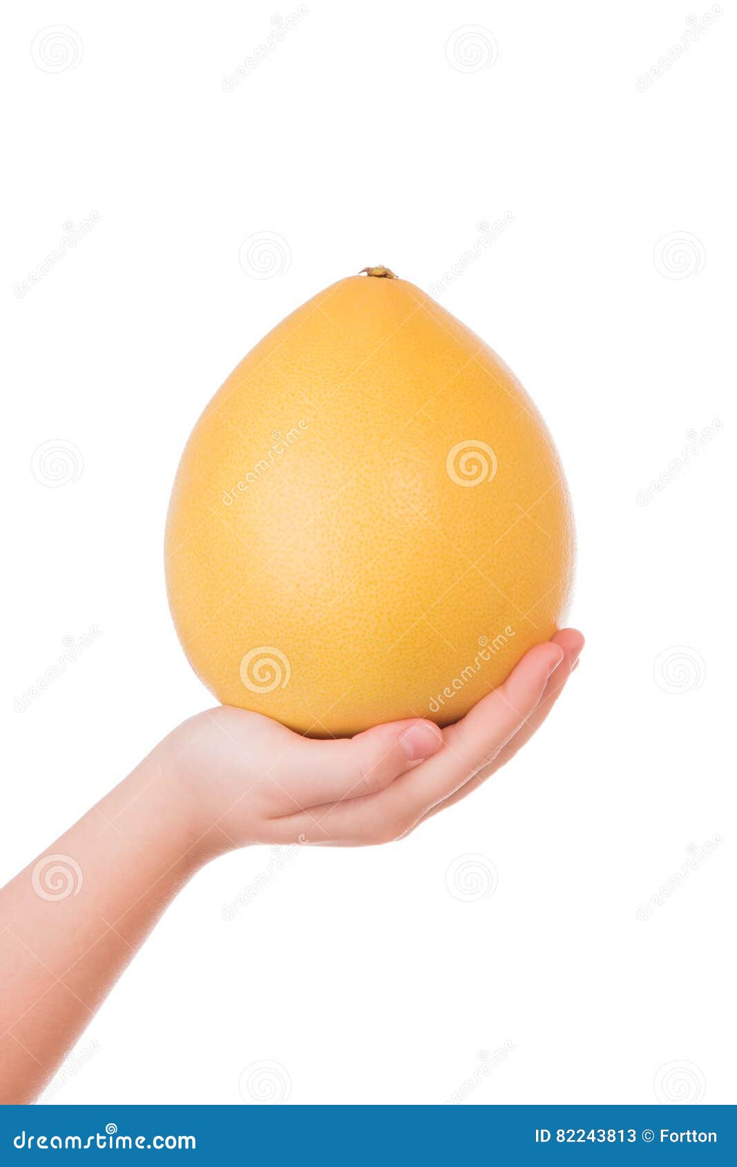 The Fruit of Pomelo in the Hand of a Young Girl Stock Image Image of