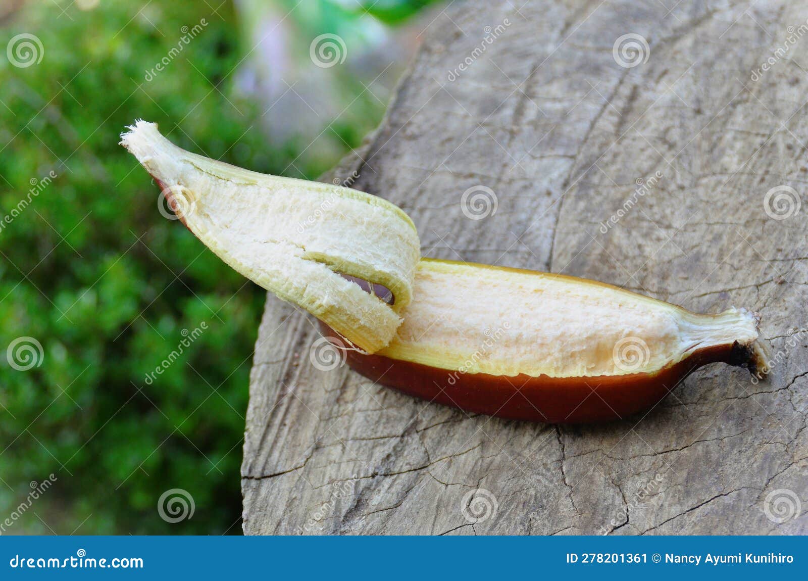 A Fruit of Red Dacca Bananas Under the Wooden Table Stock Image Image