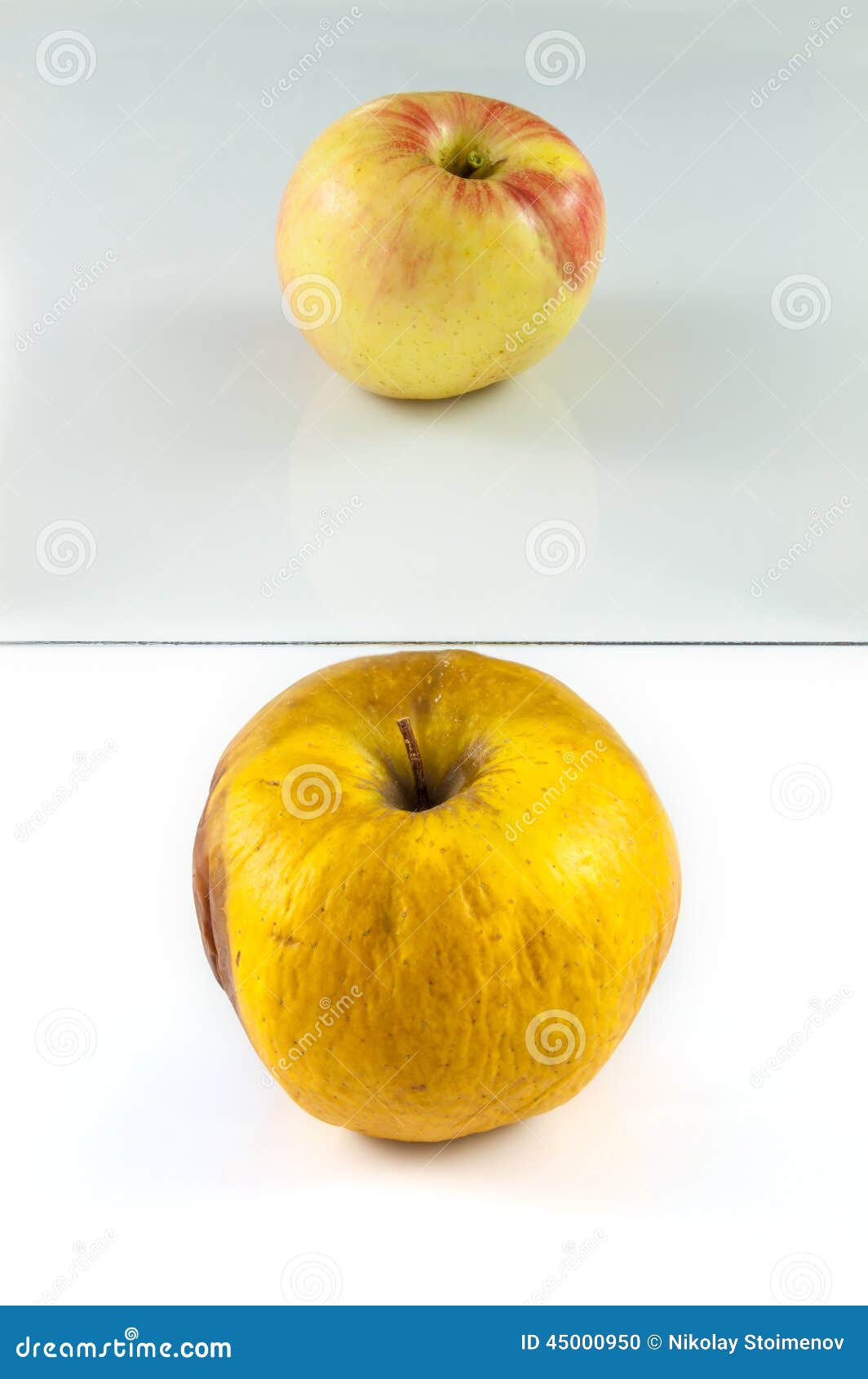 future cider download future cider download