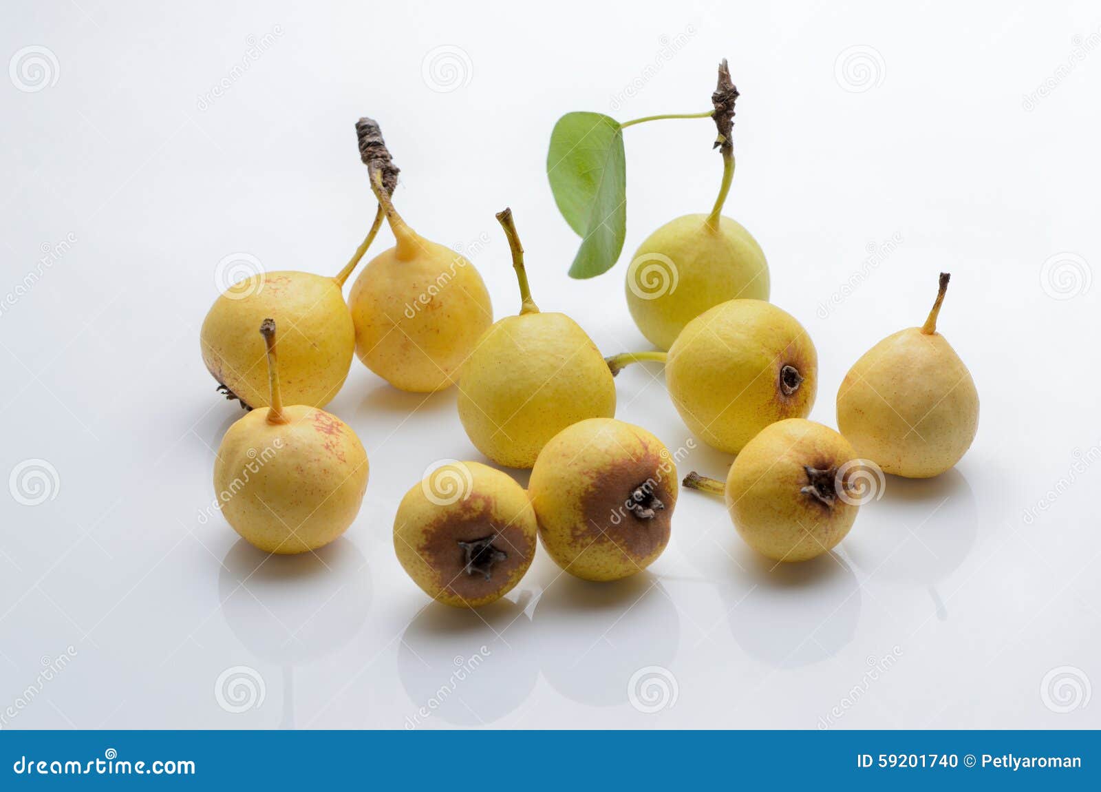 Wet Ripe Wild Cherries And Red Dark Sweet Cherries RoyaltyFree Stock
