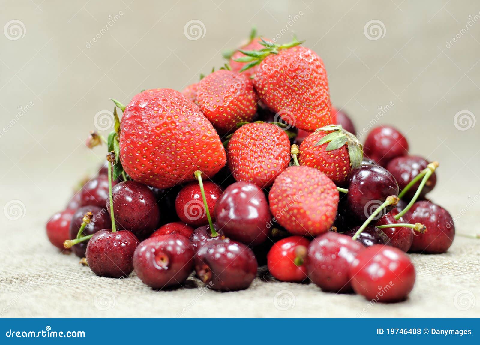 Fruit rouge photo stock. Image du rouge, fruit, nature 19746408