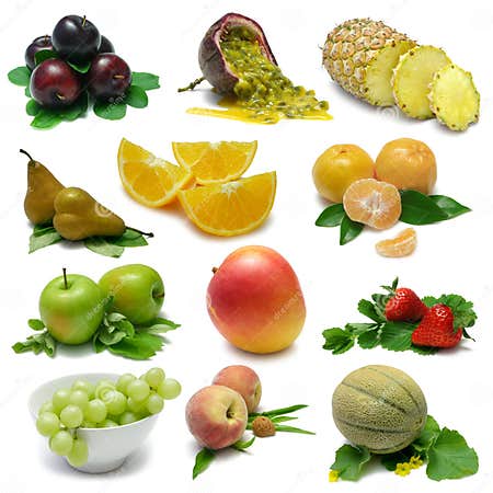 Fruit Sampler stock photo. Image of dish, rock, path, seed - 6432122