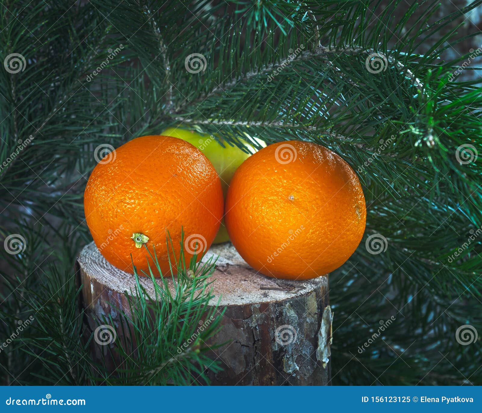 Fruit Set of Two Oranges and a Green Apple Lying on a Stump Under a