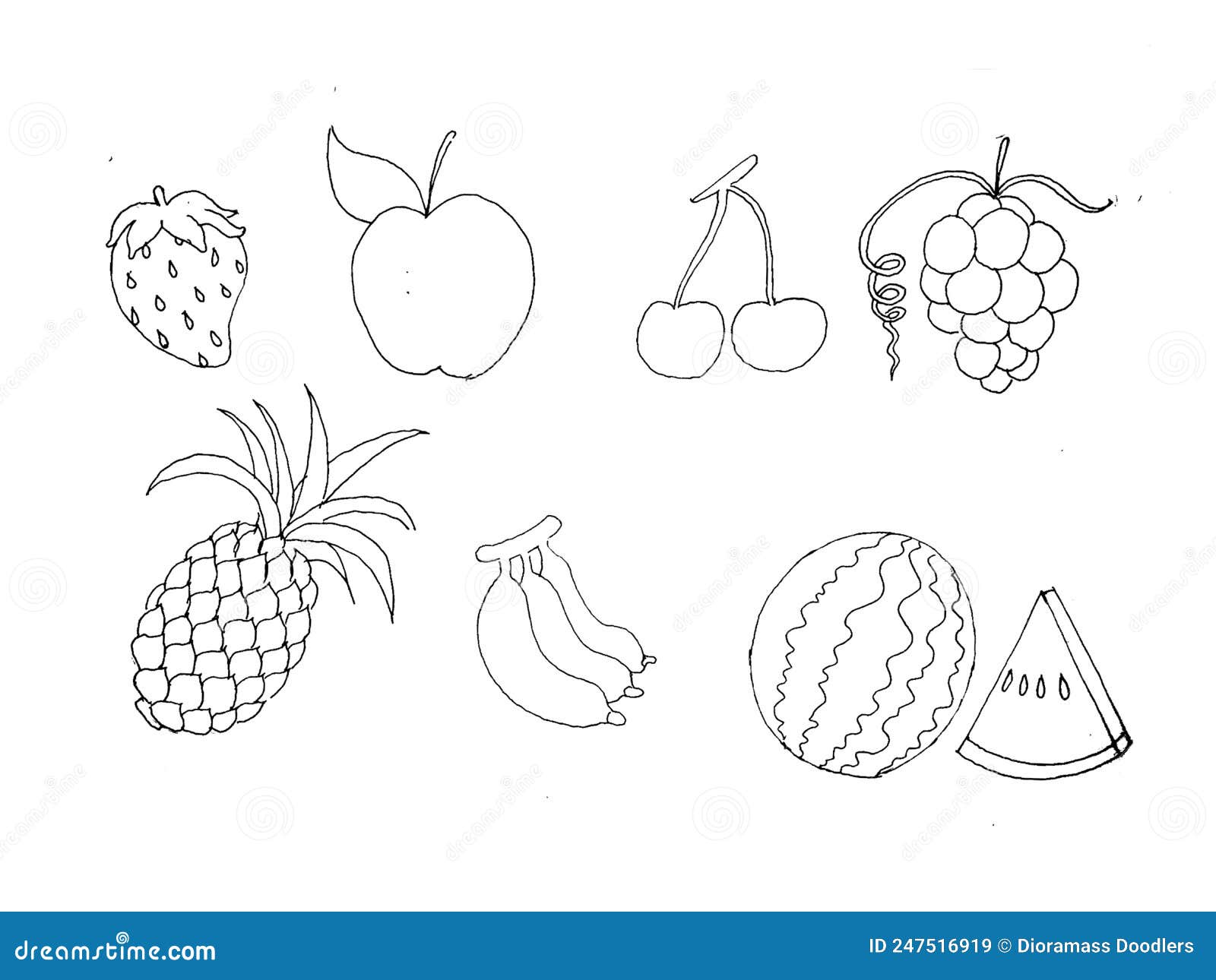 Fruit Sketch Images, Basic Media for Coloring Pictures for Children ...