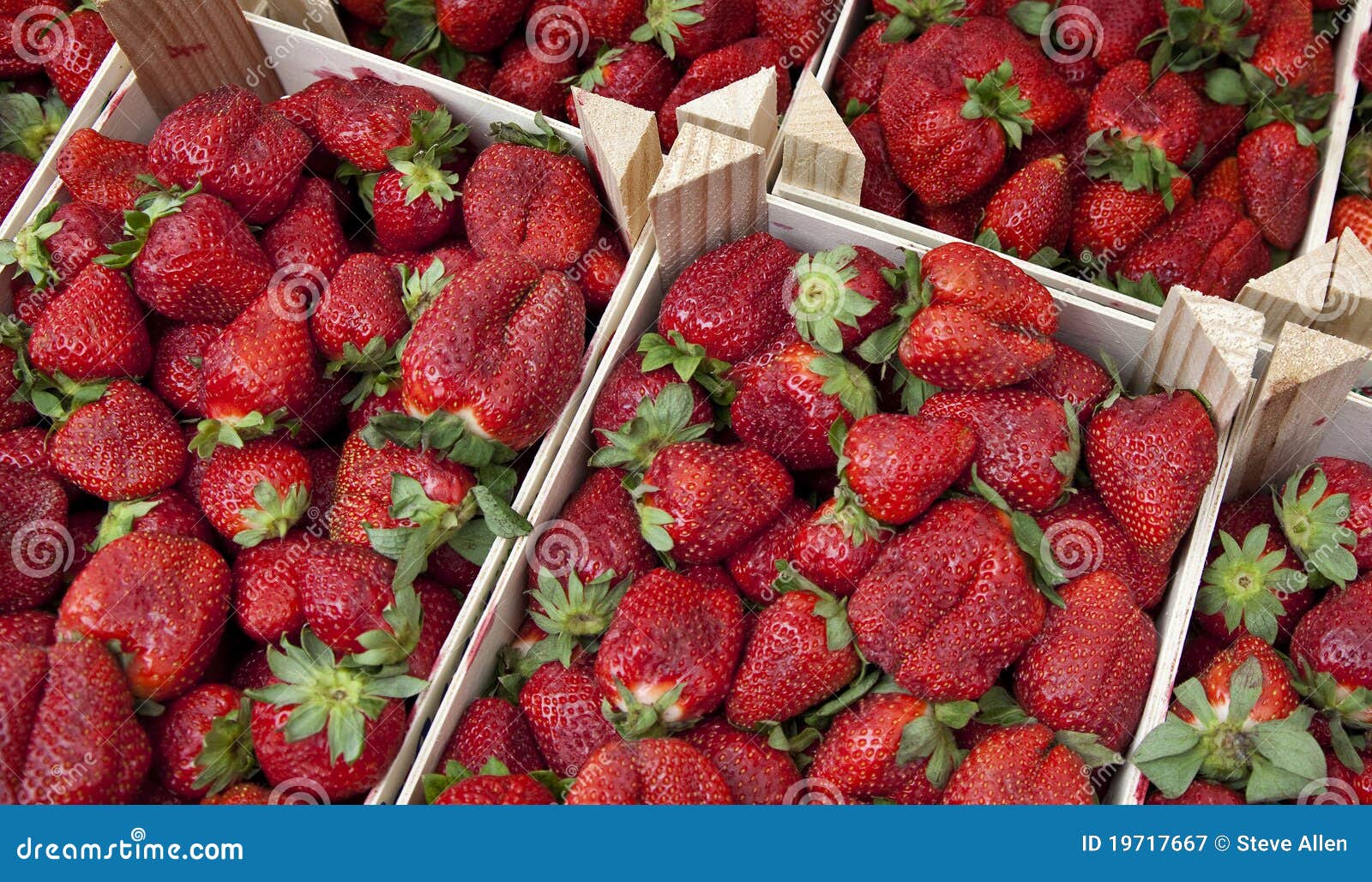 fruit - strawberries