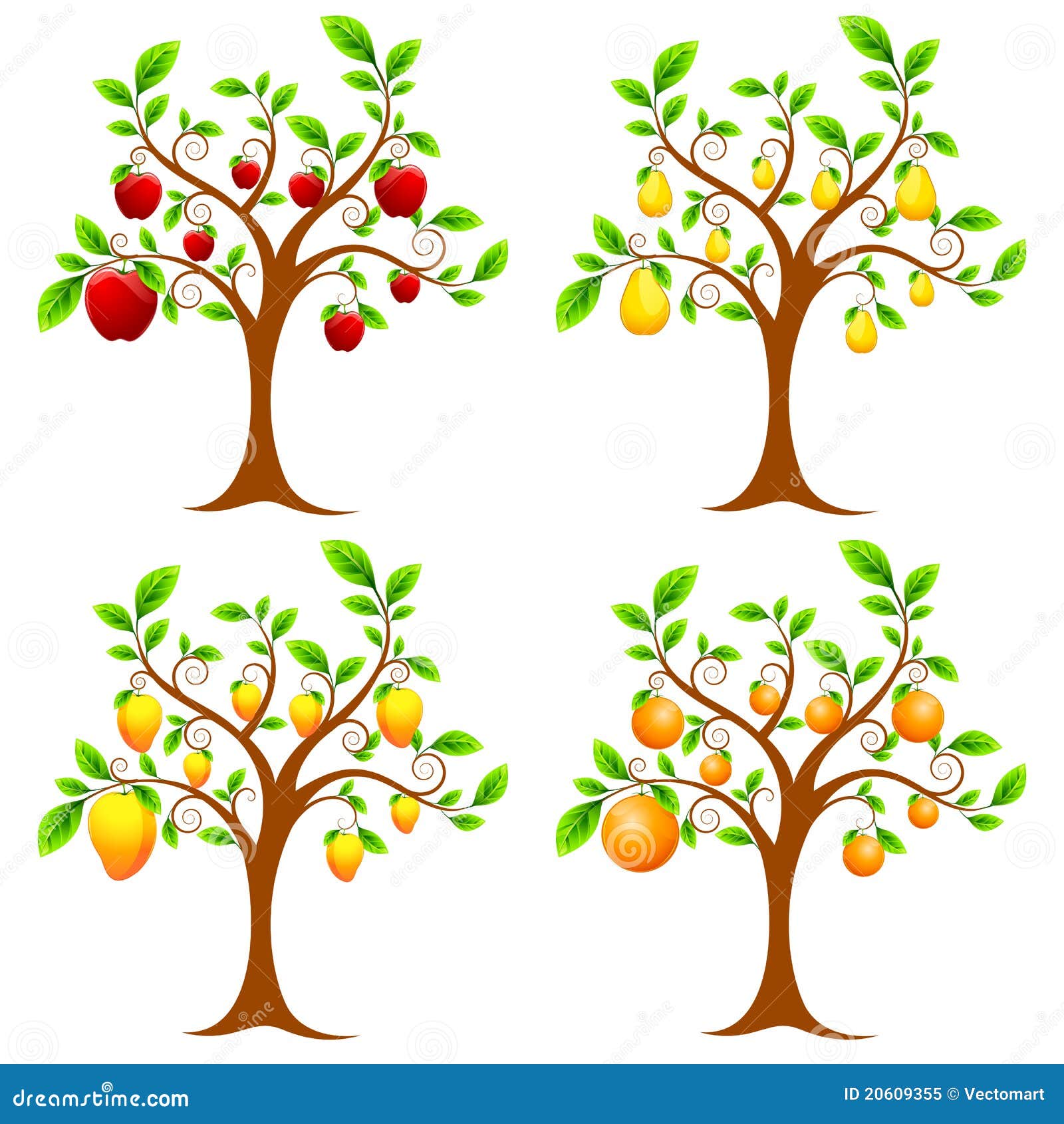 Plant Mango Tree Stock Illustrations – 2,072 Plant Mango Tree Stock  Illustrations, Vectors & Clipart - Dreamstime