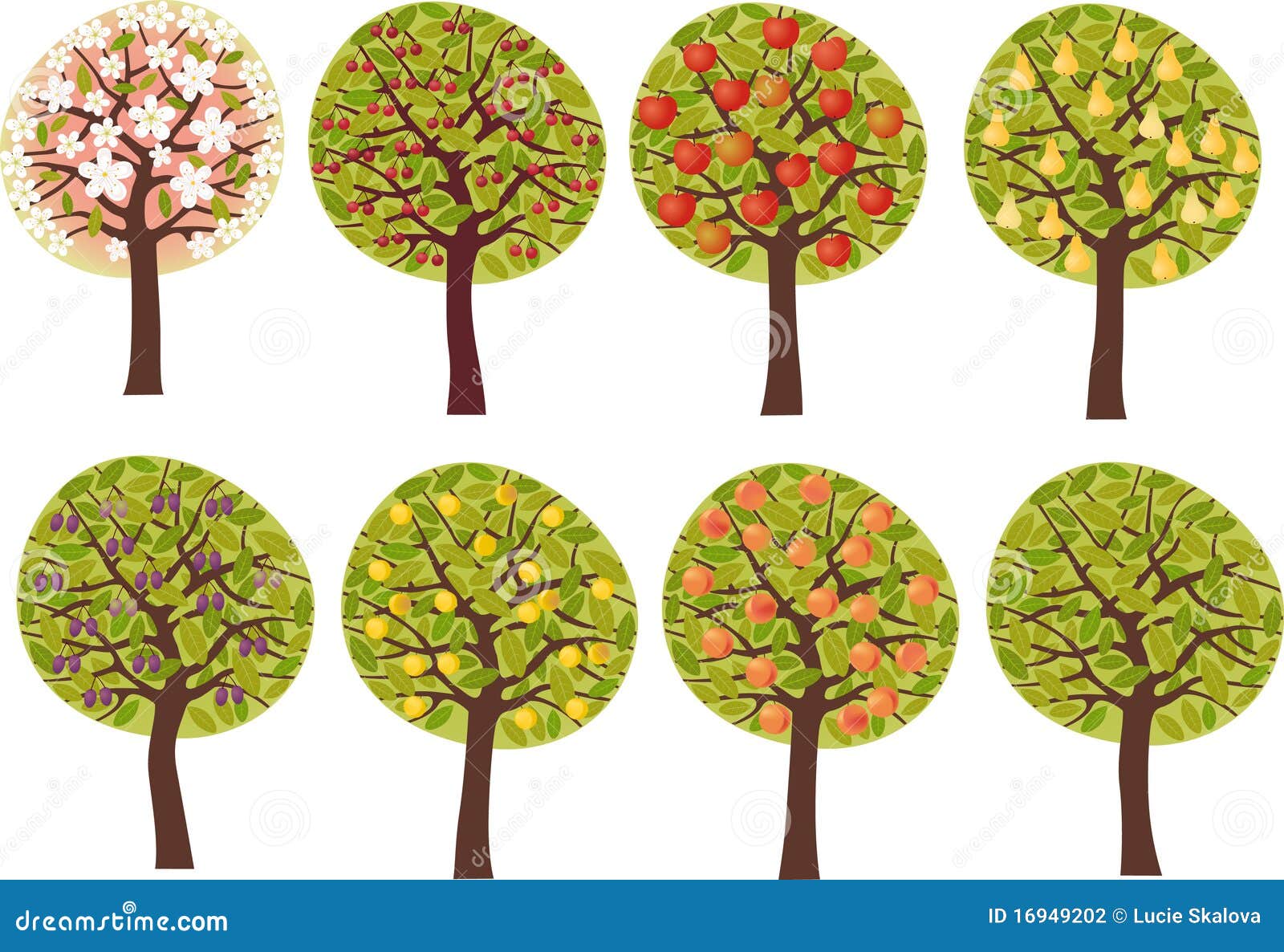Fruit trees stock vector. Illustration of ripe, garden - 16949202