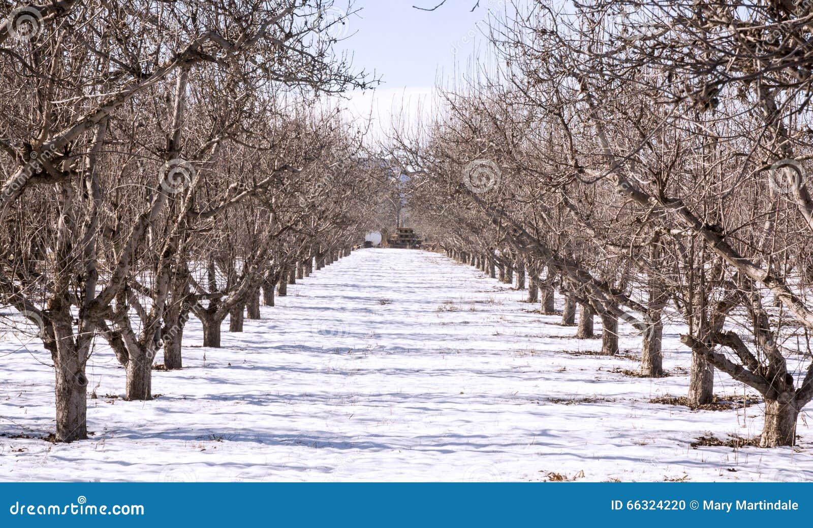 Fruitland Stock Photos Free & RoyaltyFree Stock Photos from Dreamstime
