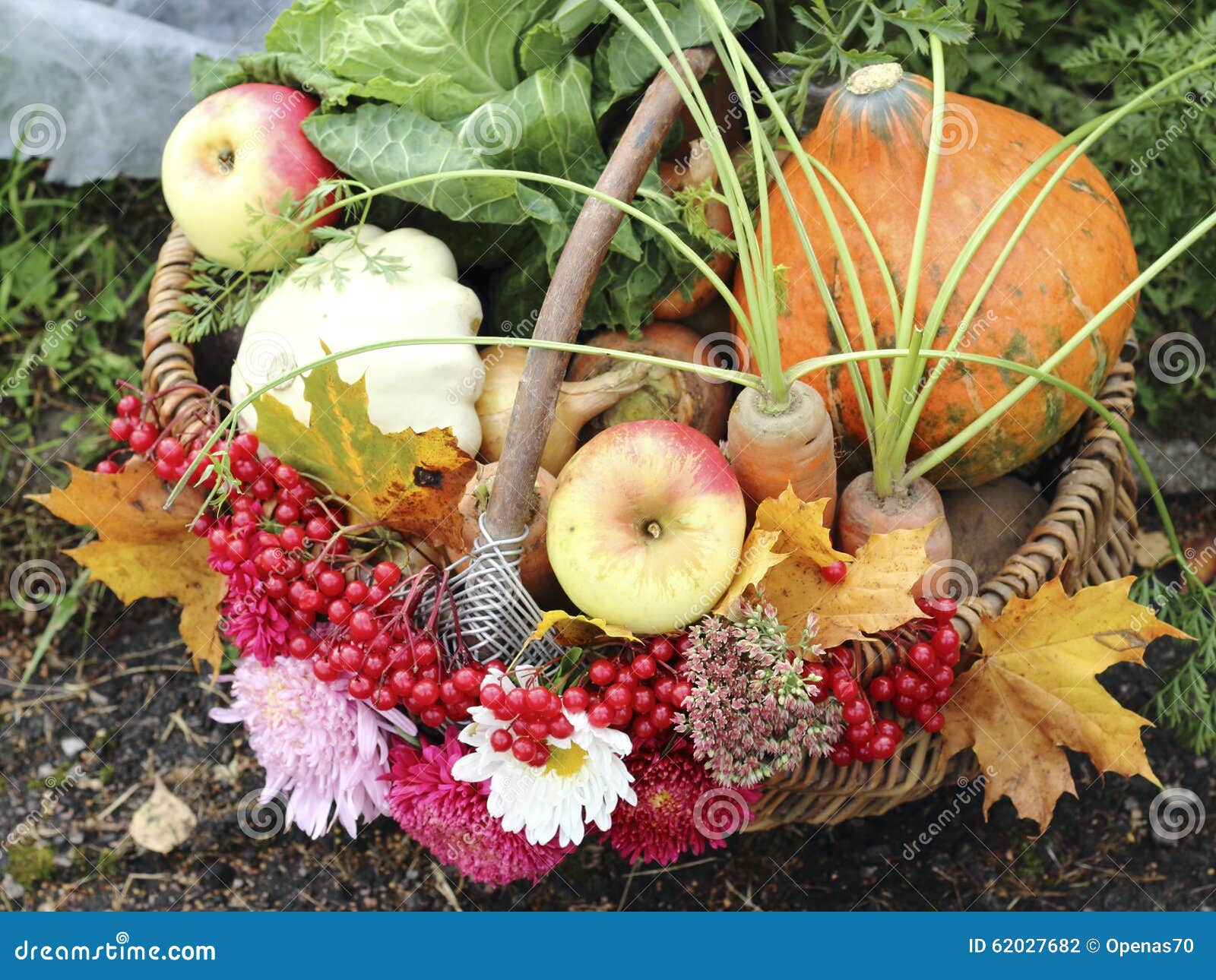 Fruit and Vegetable in Basket Stock Photo Image of miscellany, maple