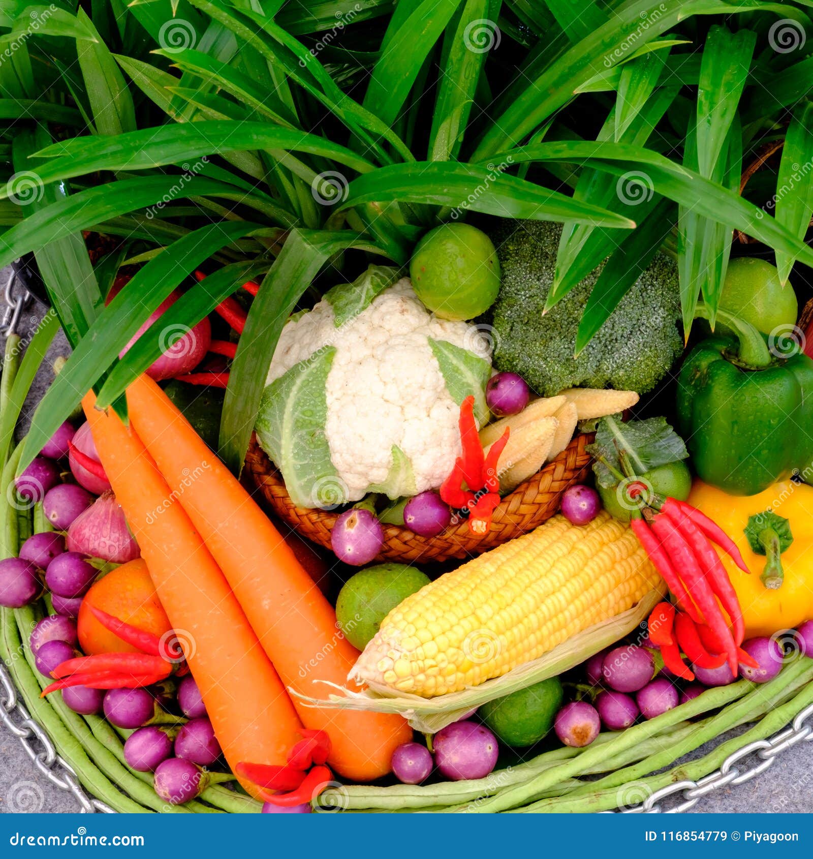 Fruit and Vegetable in Basket Stock Image Image of agriculture, white