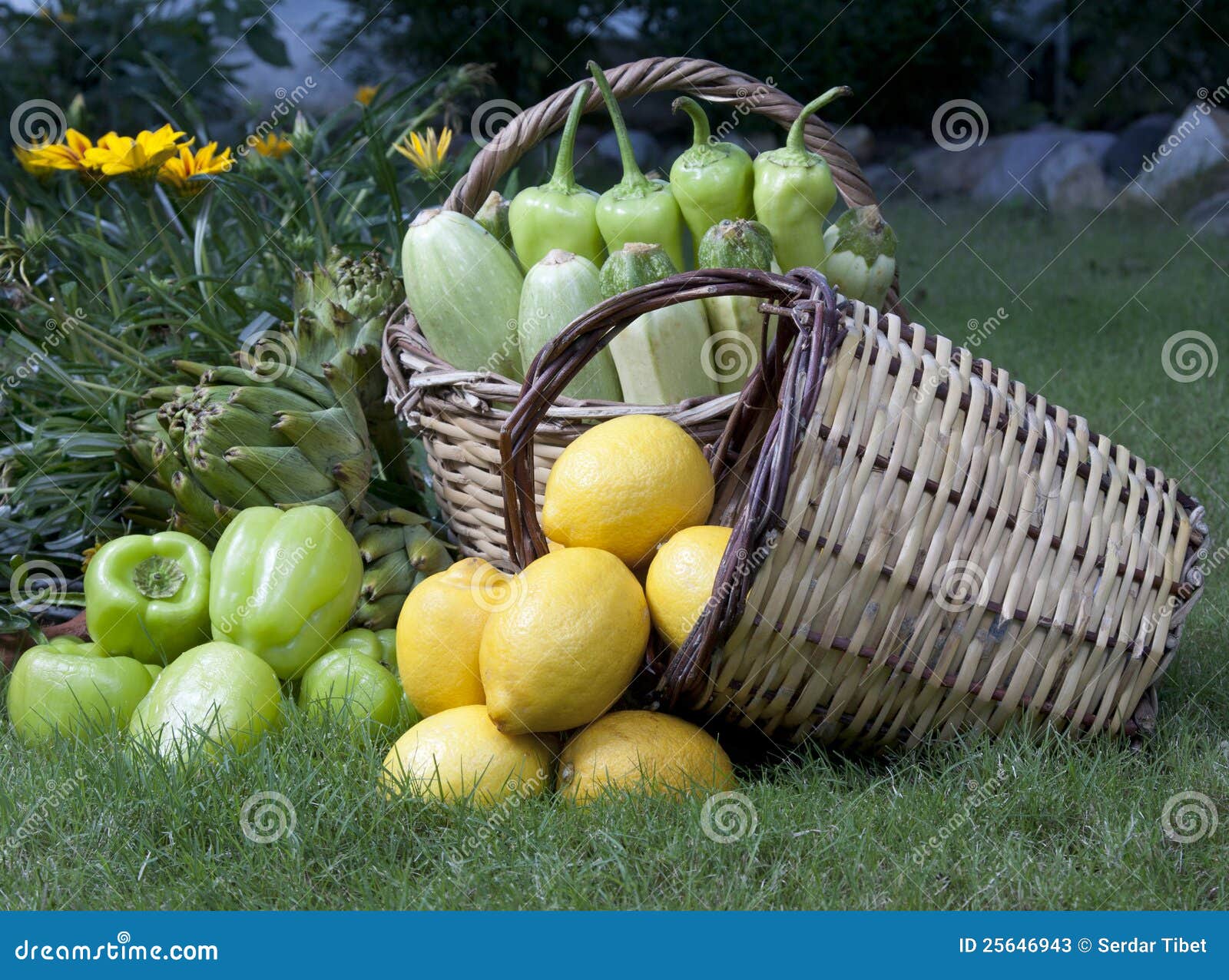 Fruit and Vegetable Baskets Stock Image Image of outside, bounty 25646943