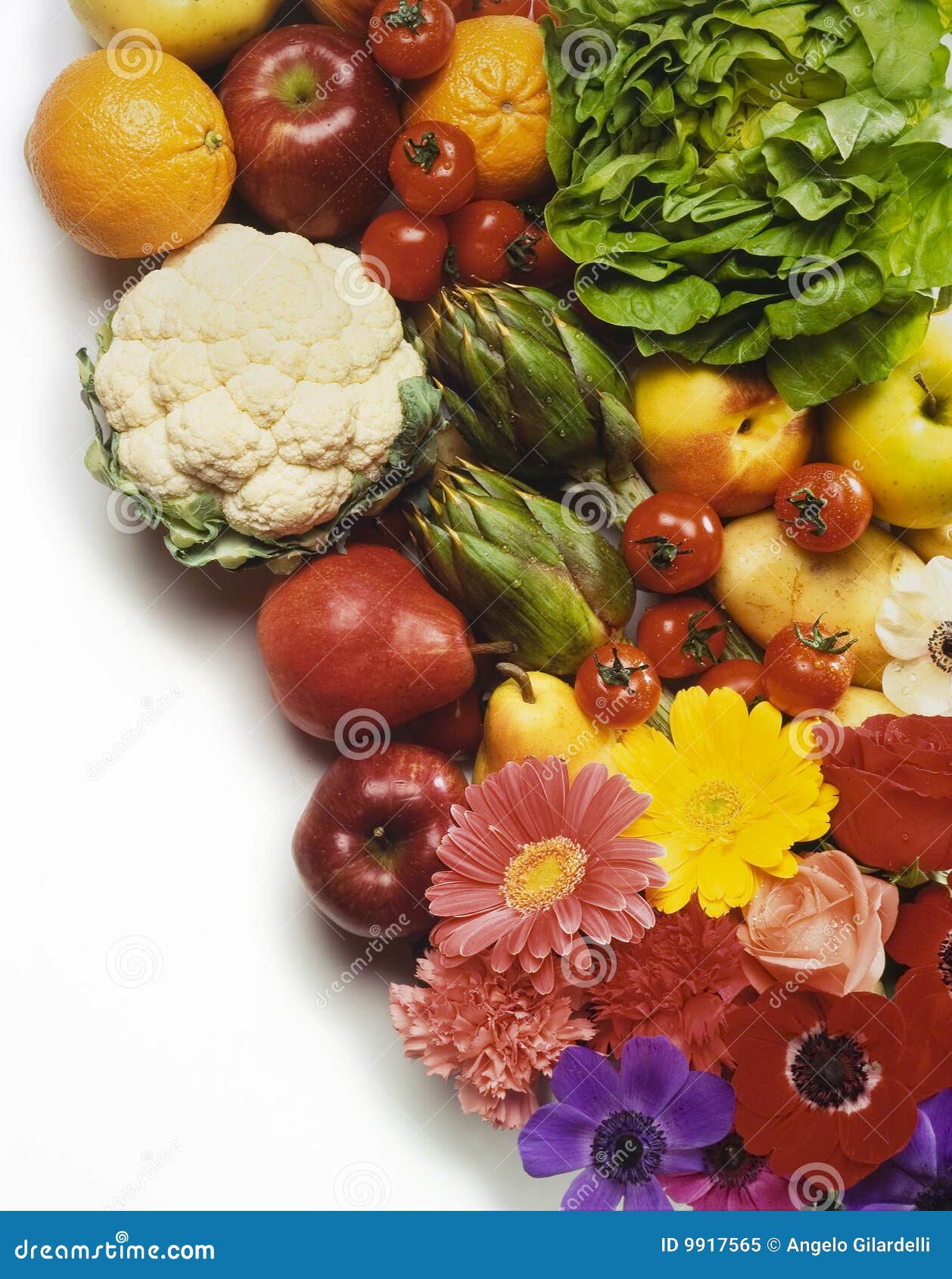 https://thumbs.dreamstime.com/z/fruit-vegetables-flowers-9917565.jpg