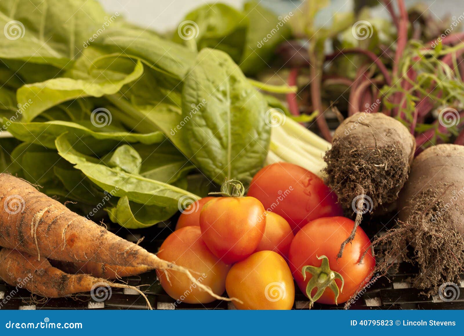 Fruit and Vegetables Garden Fresh Stock Image Image of food, root