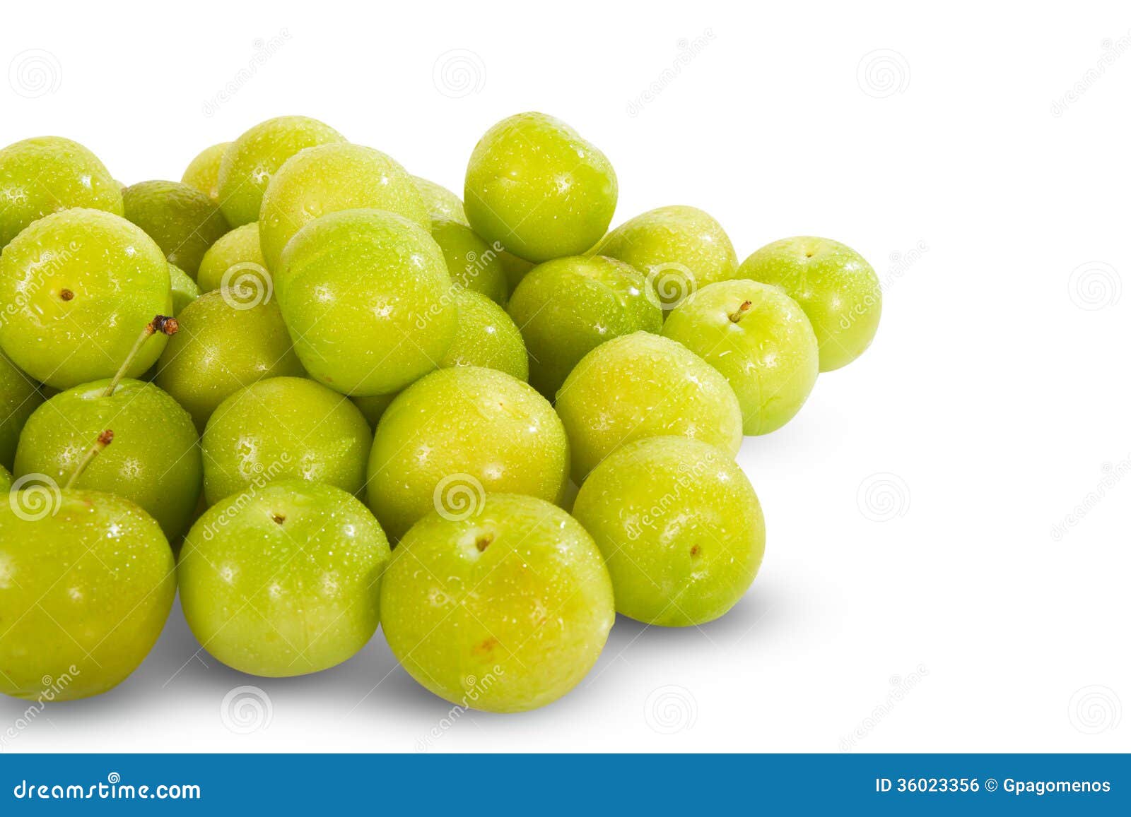 Fruit vert de prune photo stock. Image du agriculture 36023356