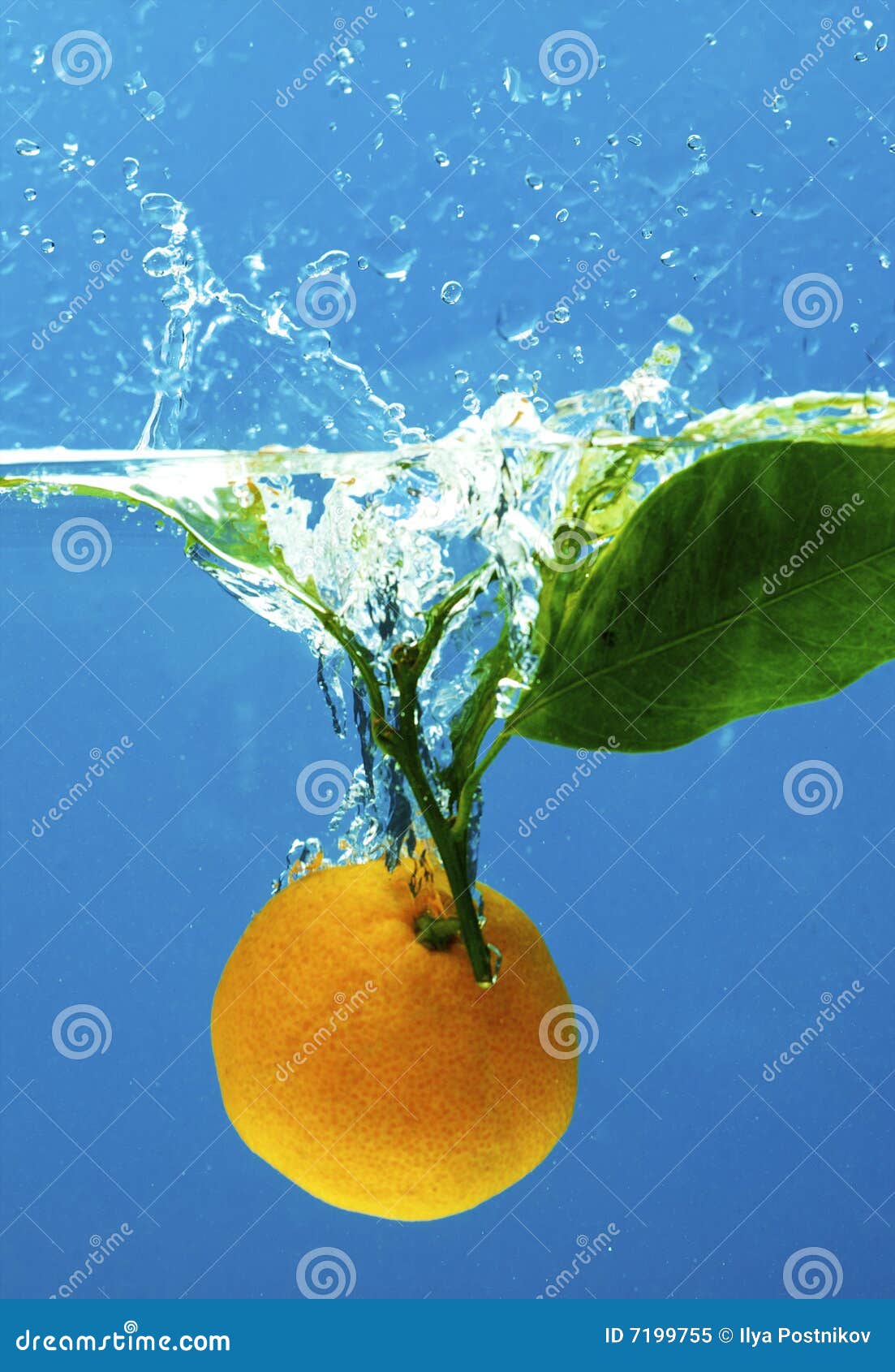 Fruit in water stock image. Image of motion, ripe, freshness - 7199755